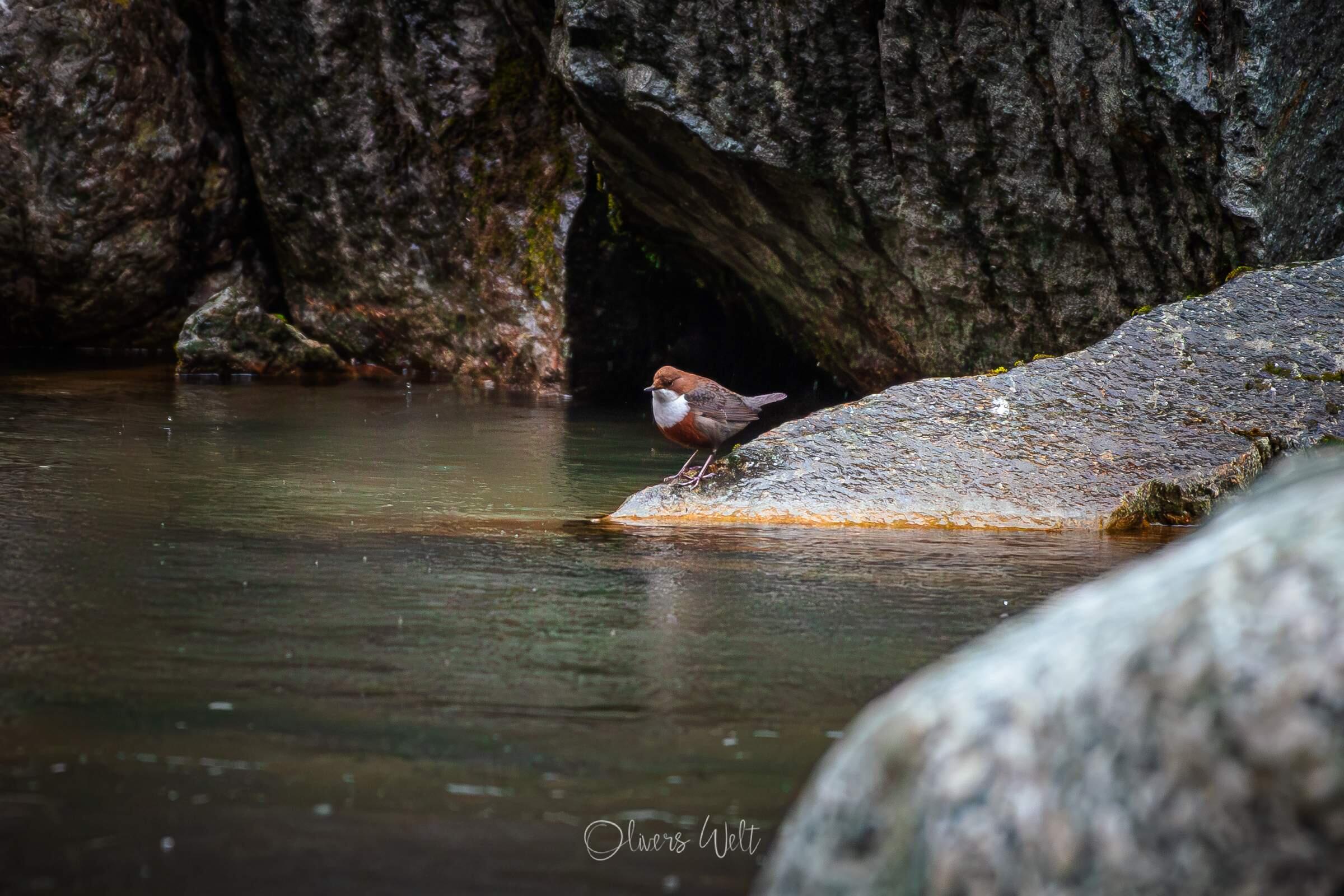 Bild ohne Beschreibung