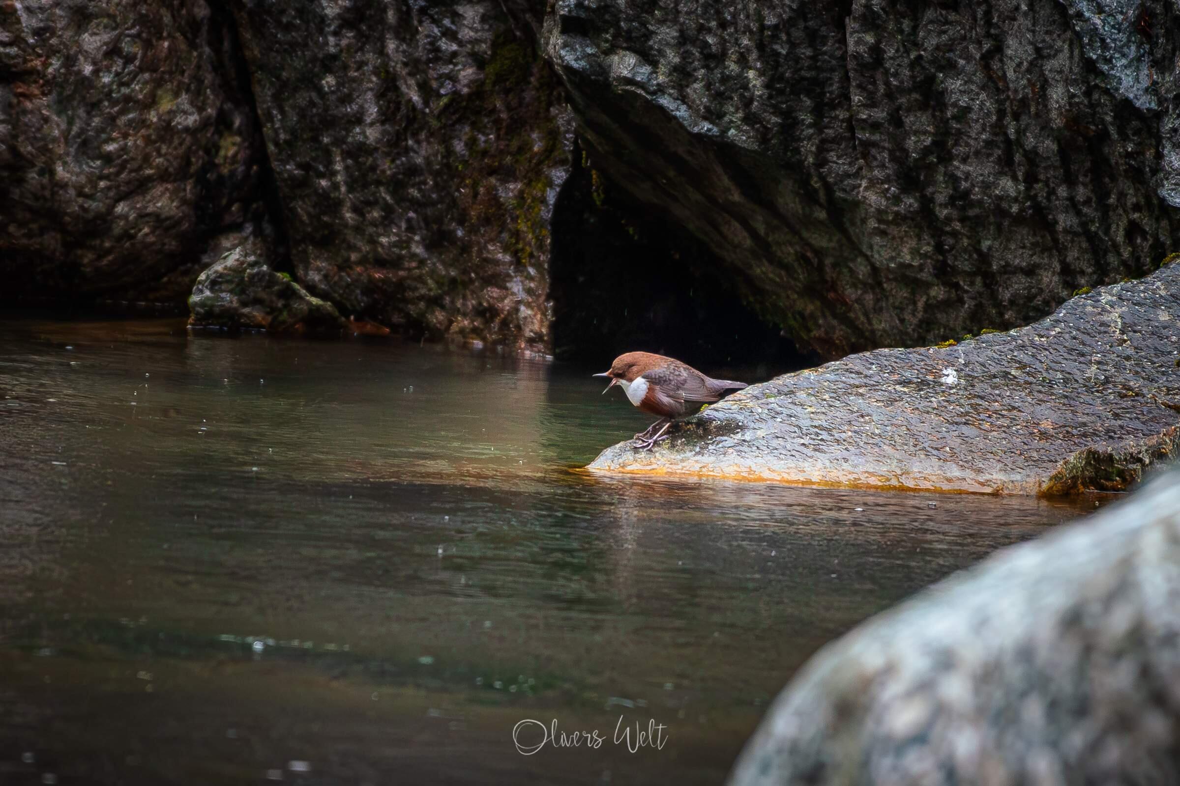 Bild ohne Beschreibung