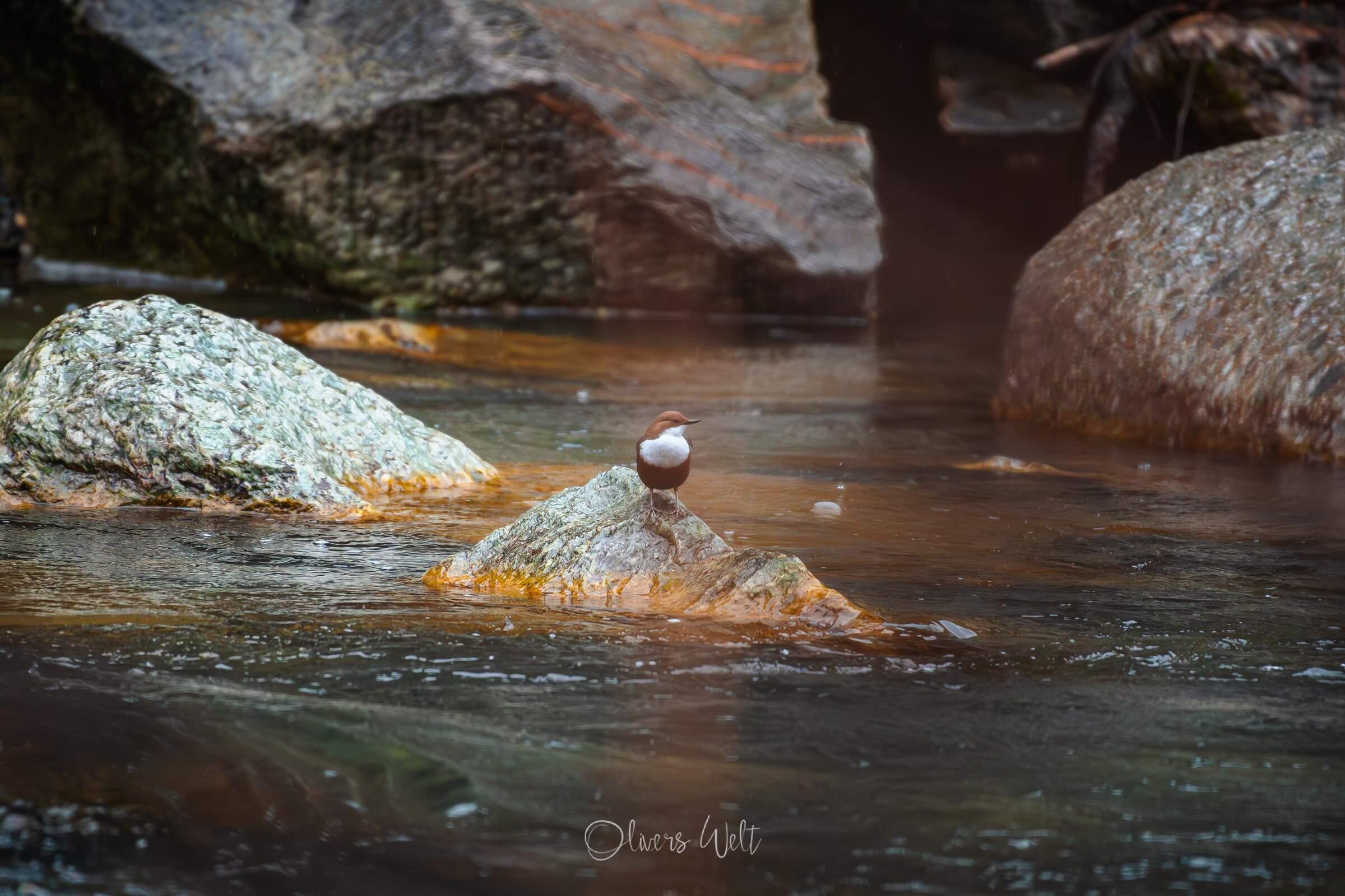 Bild ohne Beschreibung