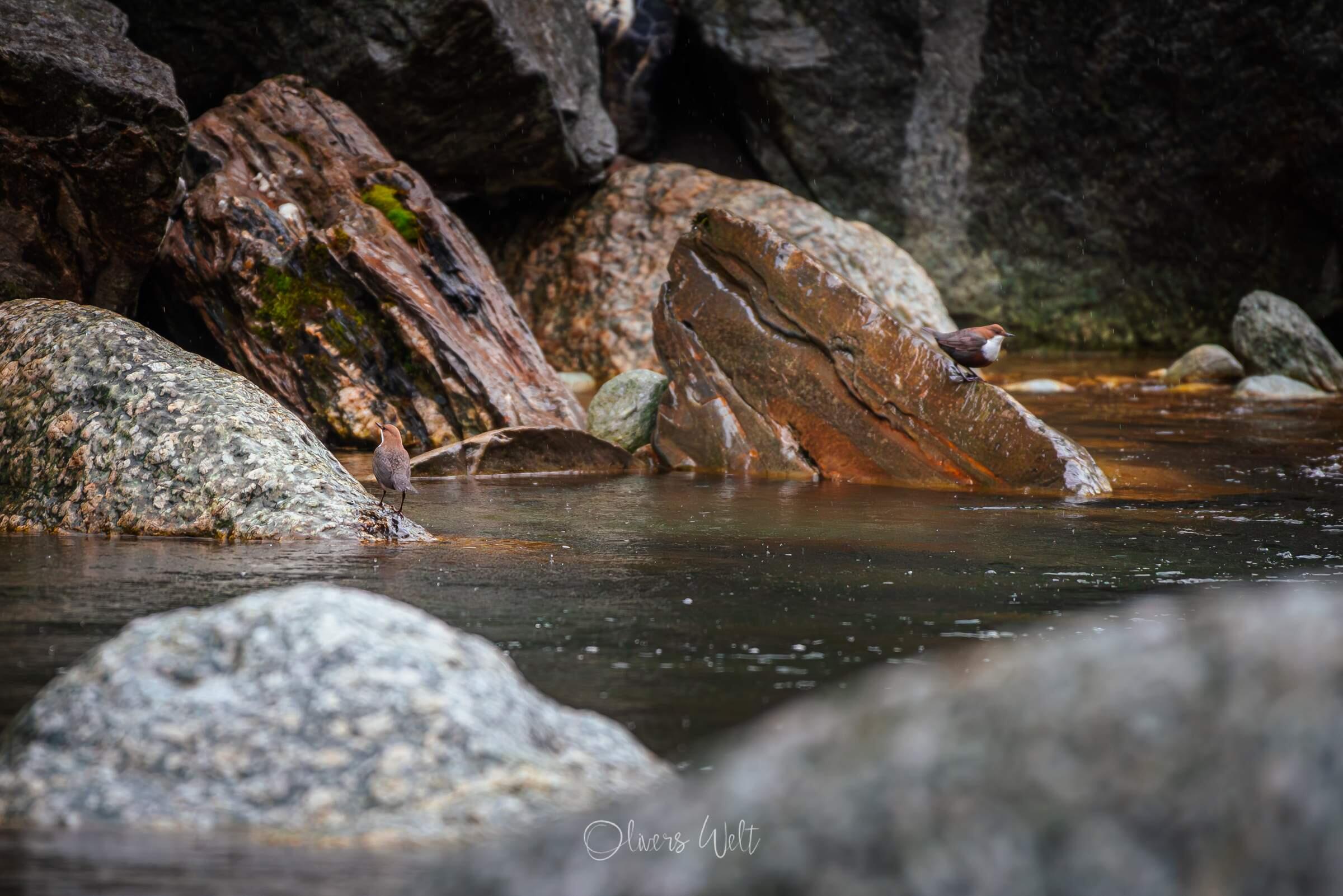 Bild ohne Beschreibung