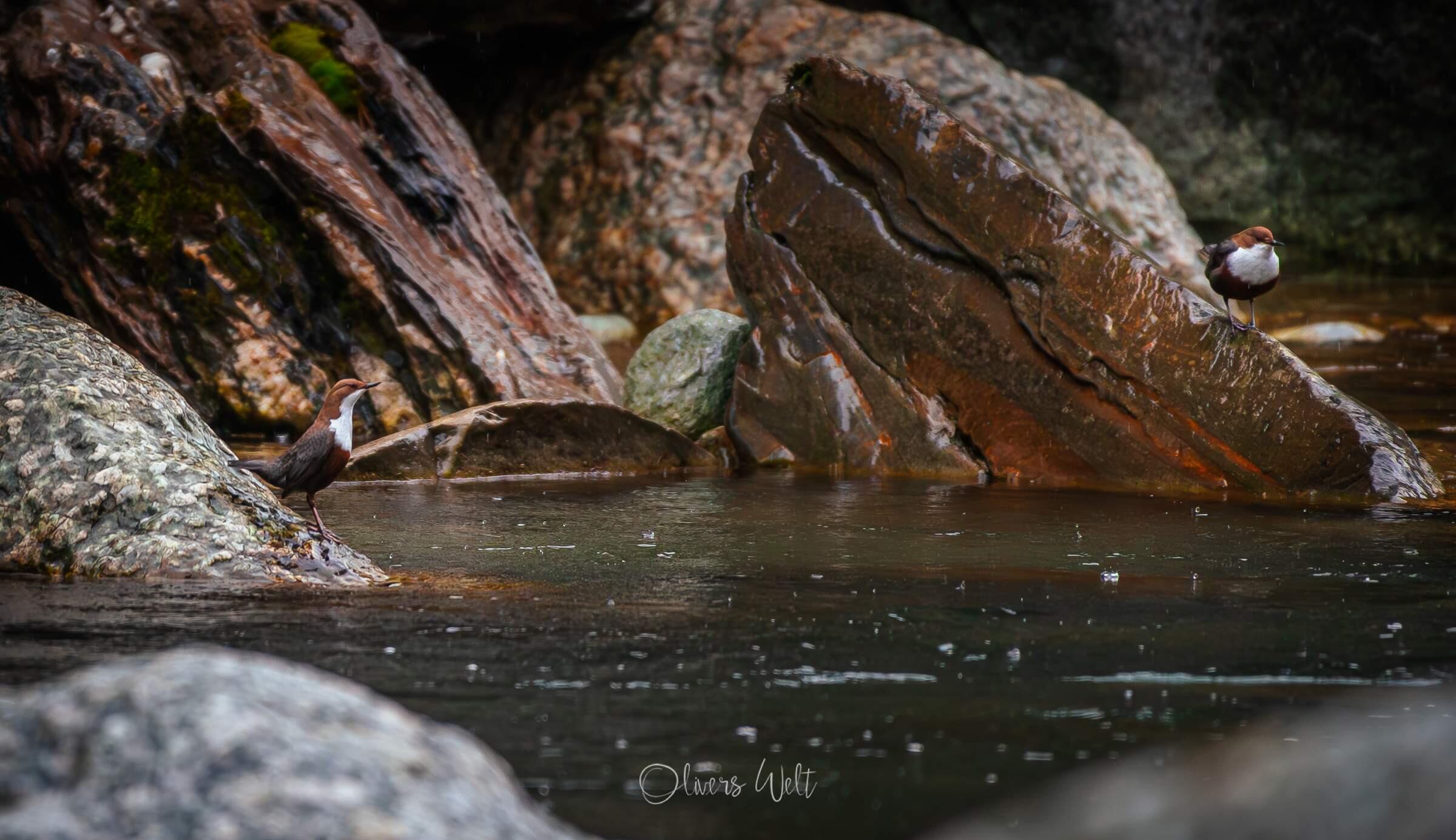 Bild ohne Beschreibung