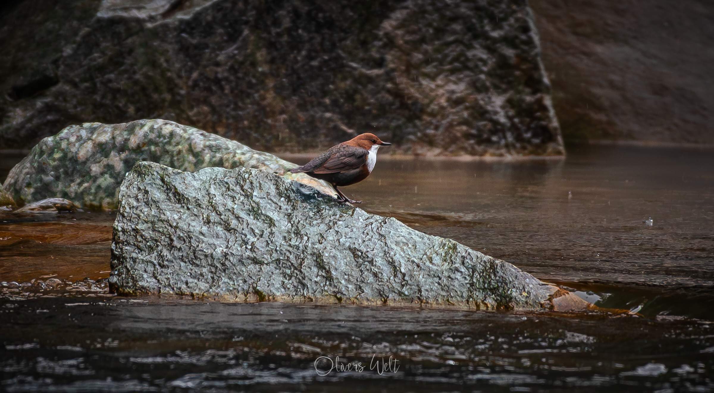 Bild ohne Beschreibung
