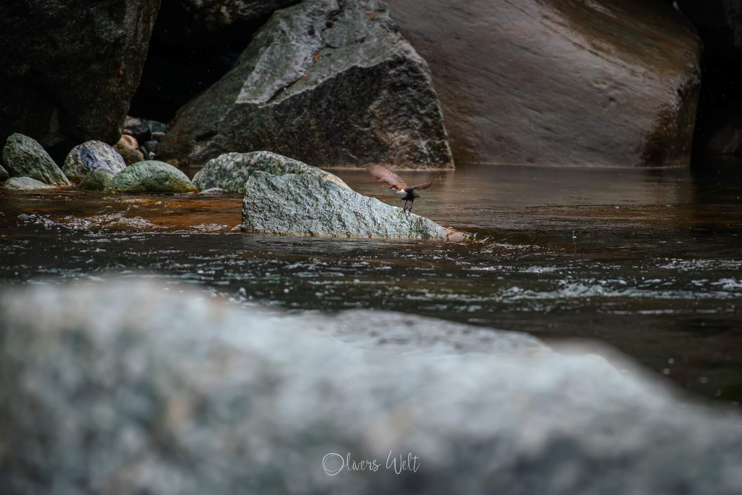 Bild ohne Beschreibung