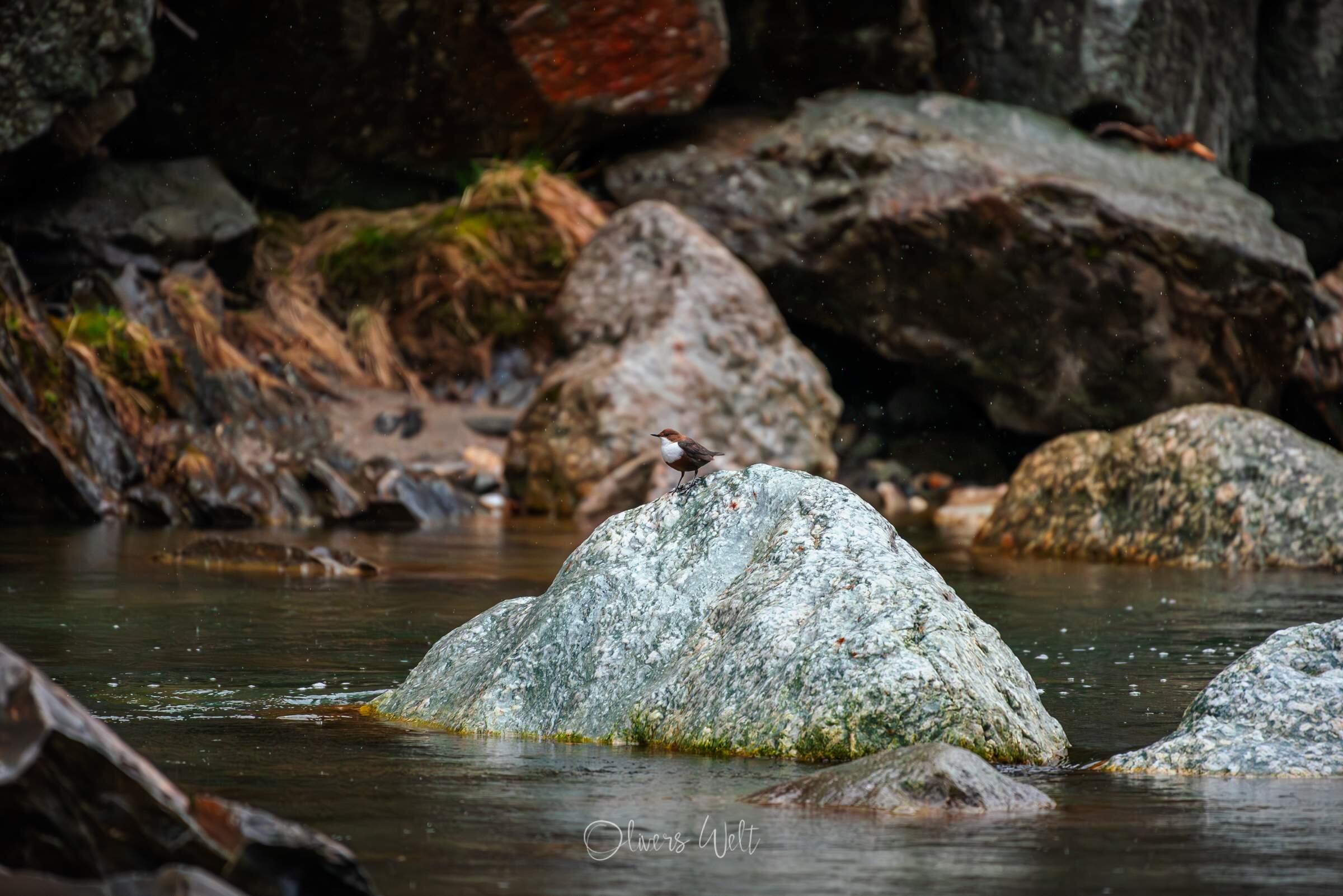 Bild ohne Beschreibung