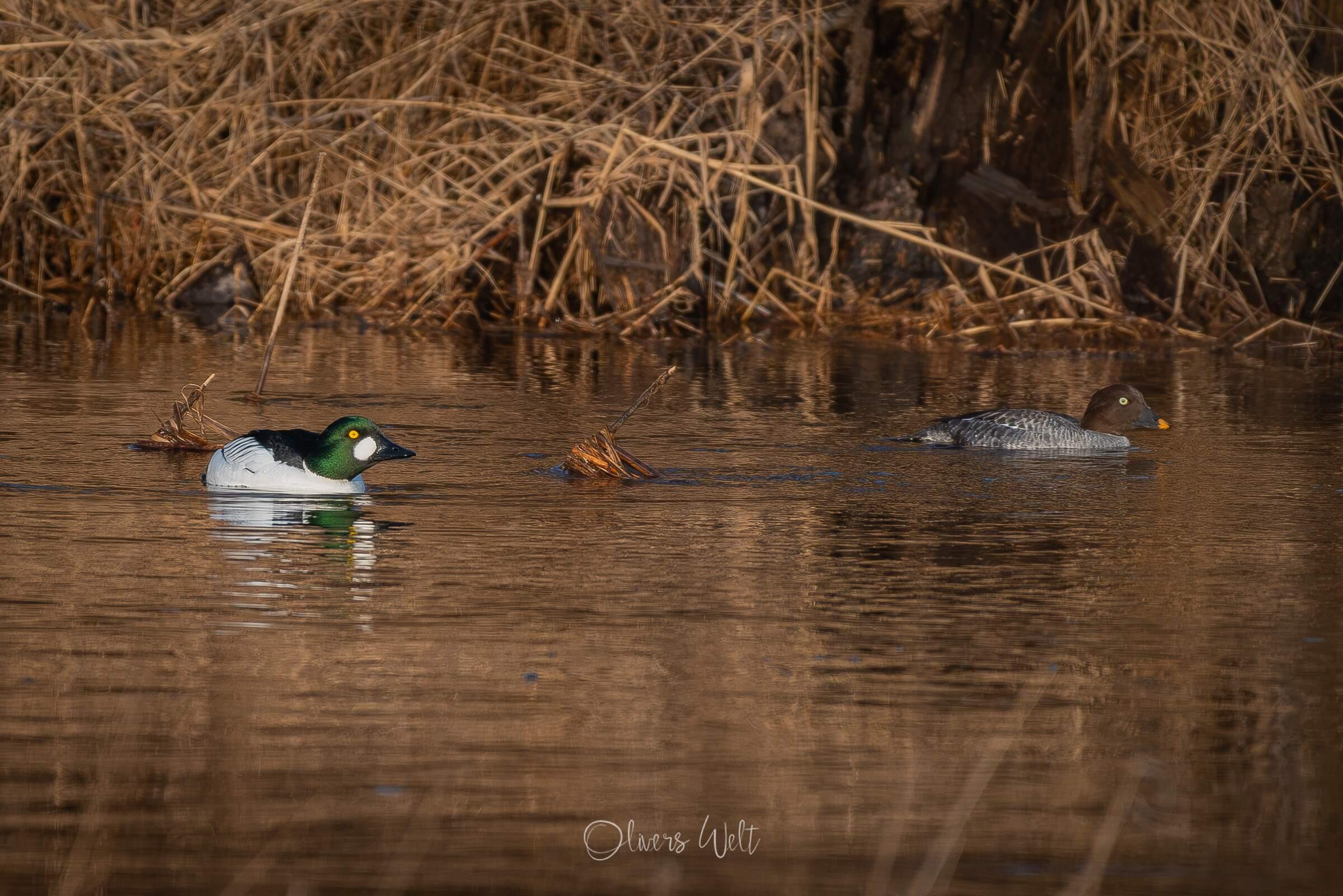 Bild ohne Beschreibung