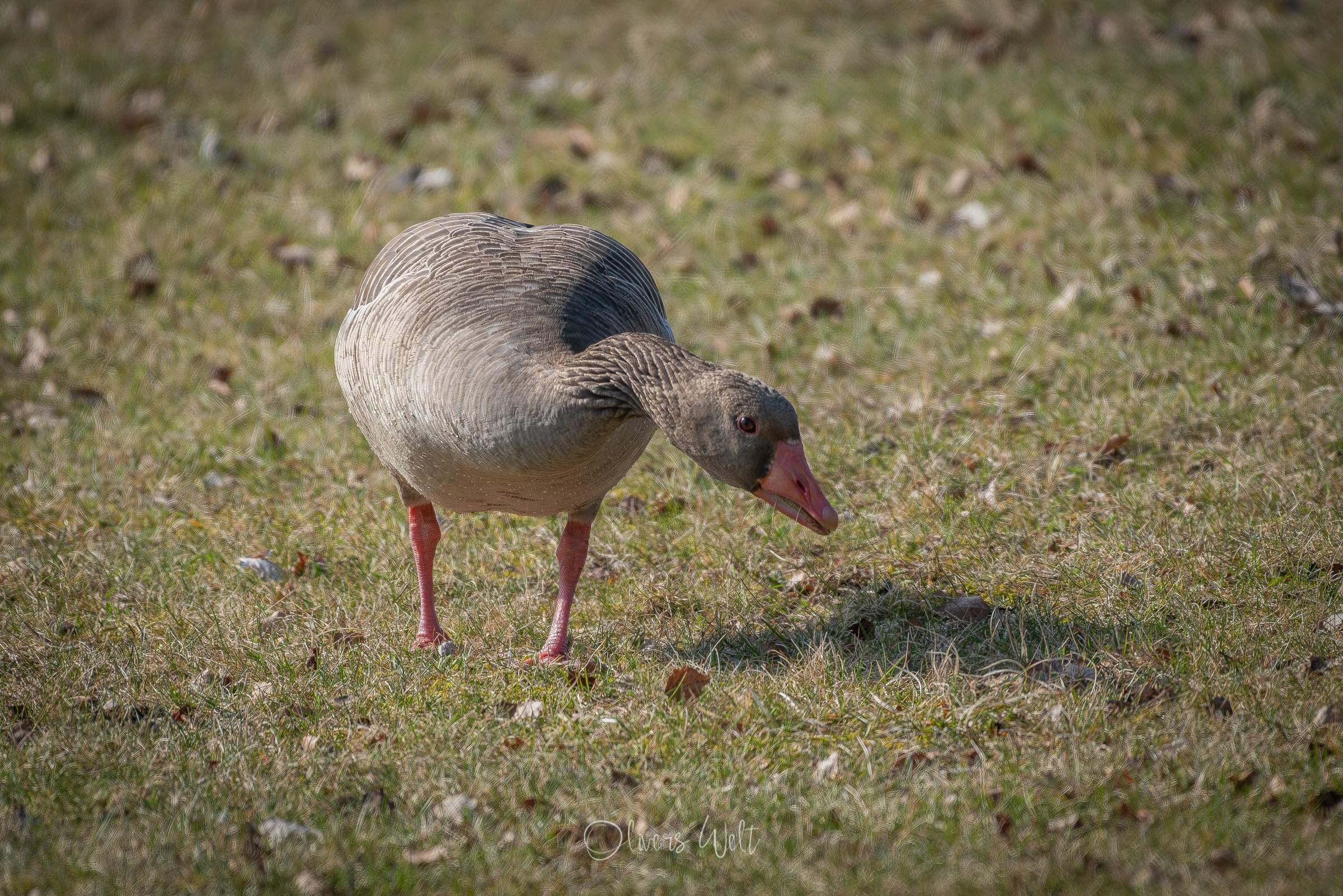 Bild ohne Beschreibung