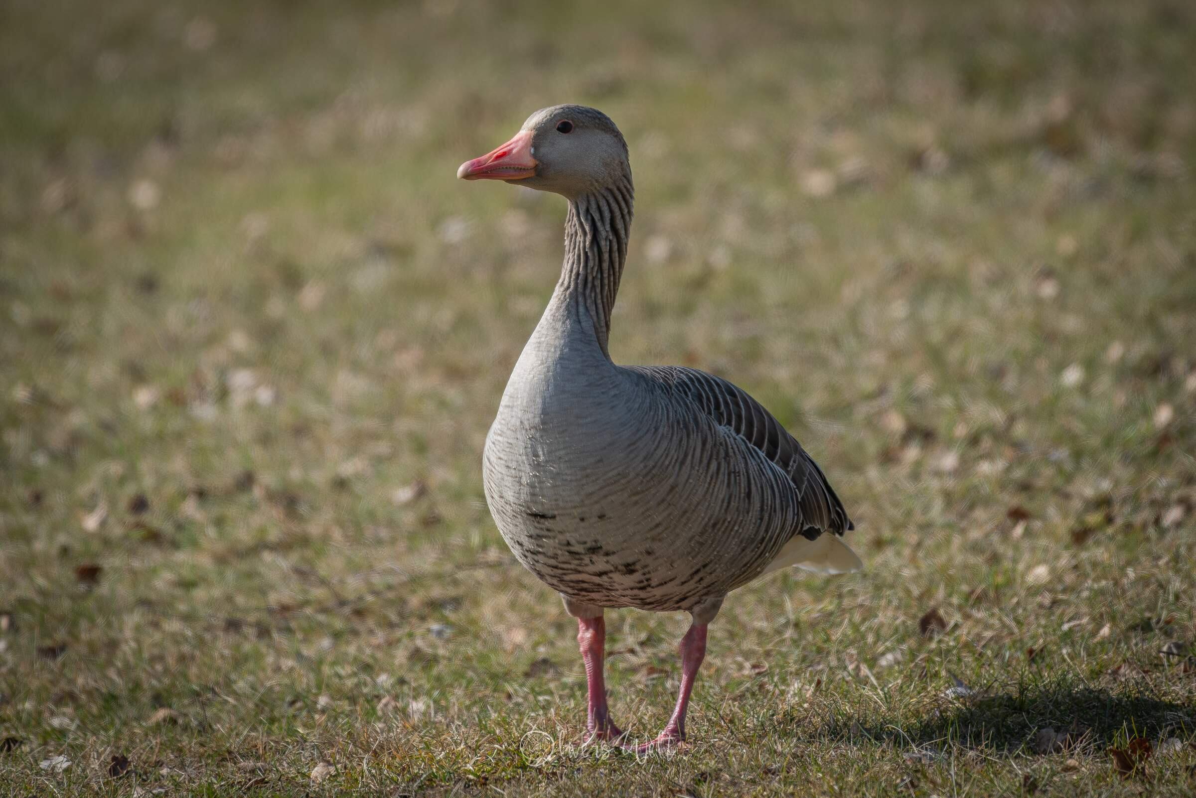 Bild ohne Beschreibung