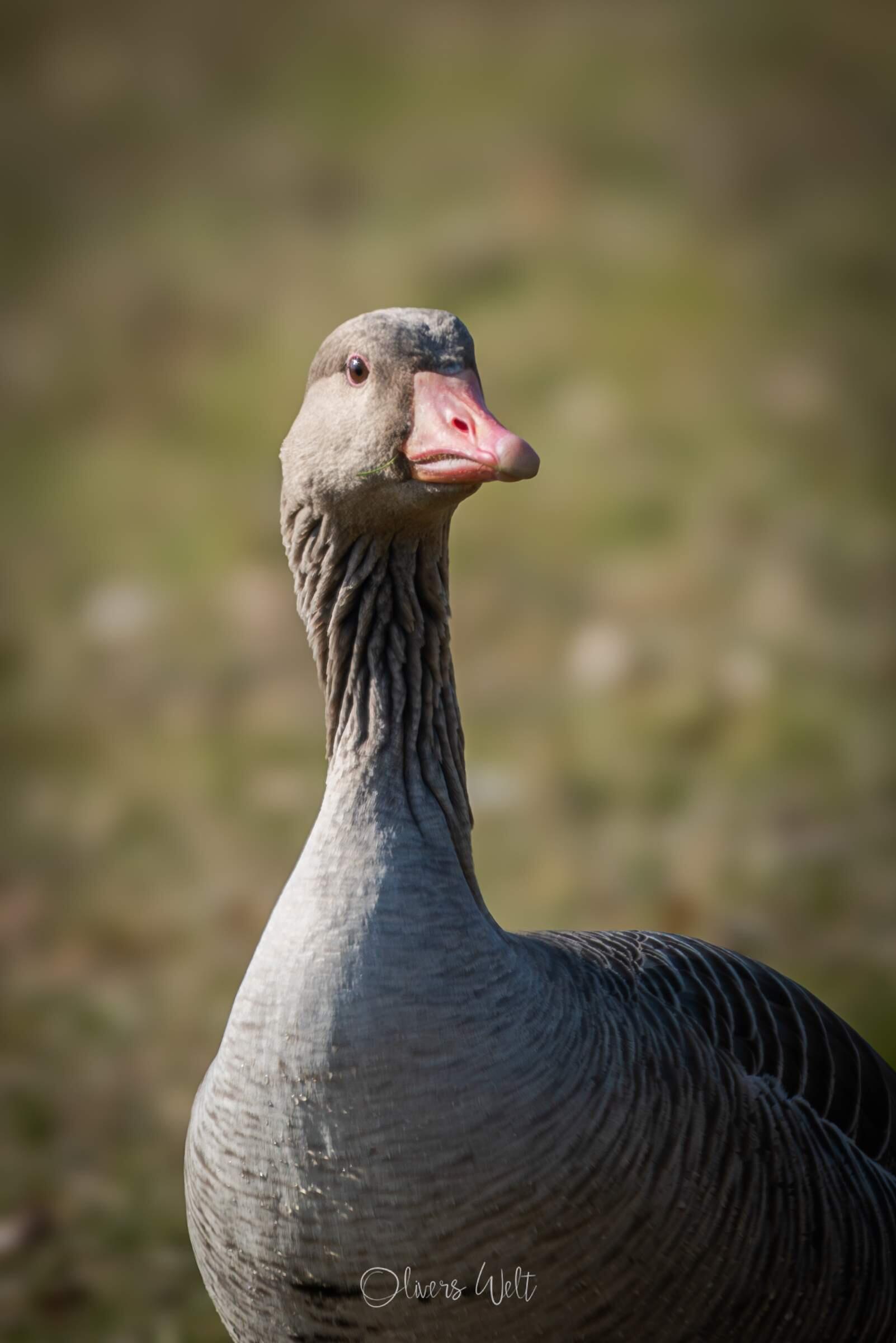 Bild ohne Beschreibung