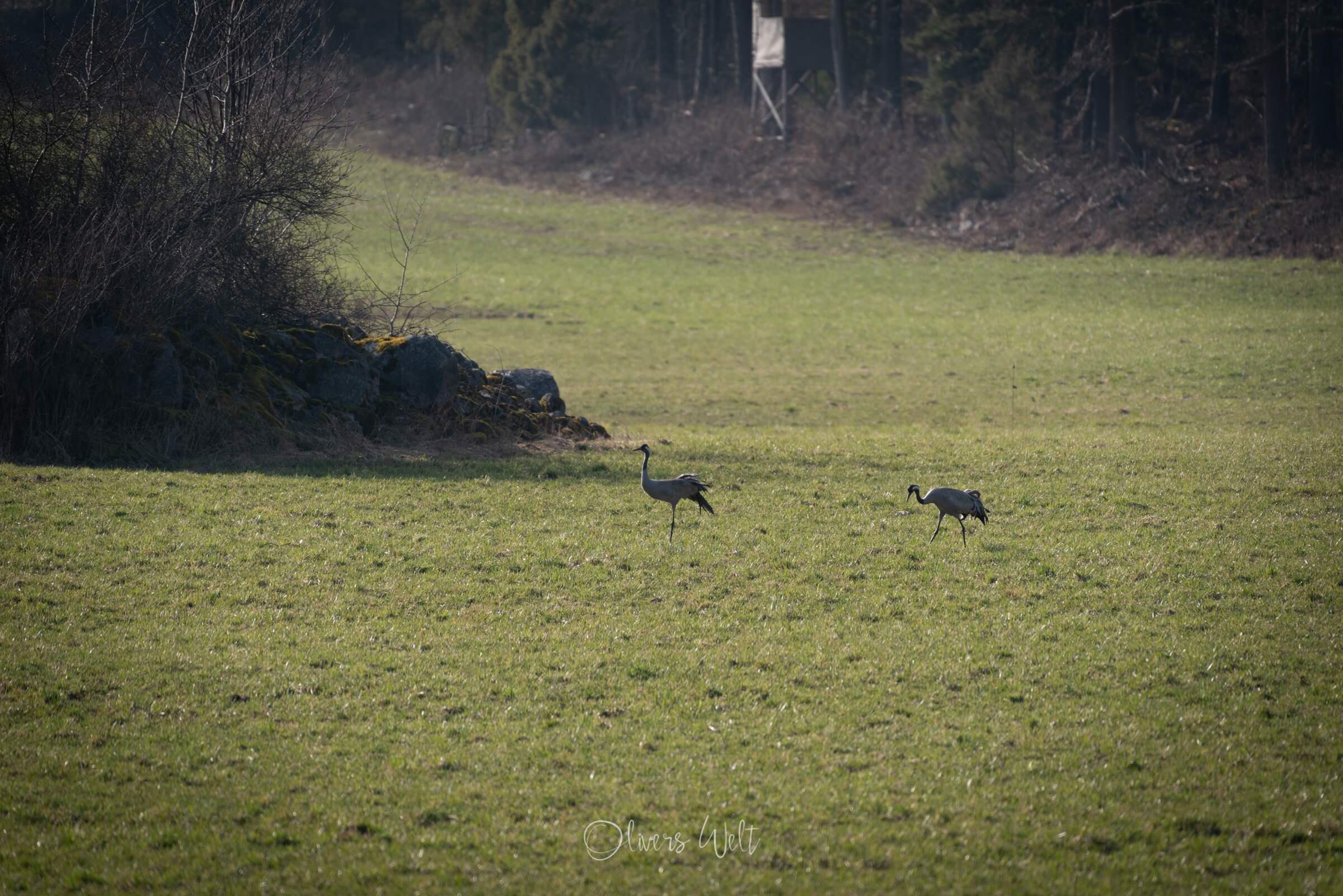 Bild ohne Beschreibung