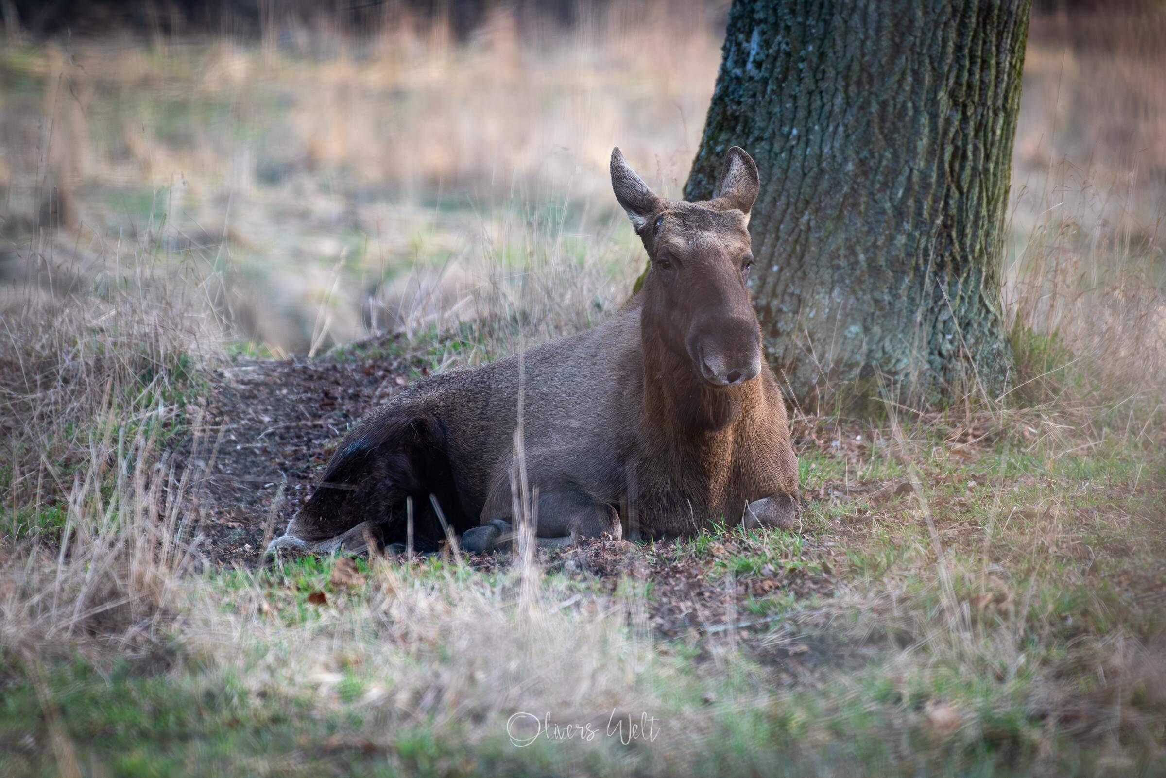 Bild ohne Beschreibung