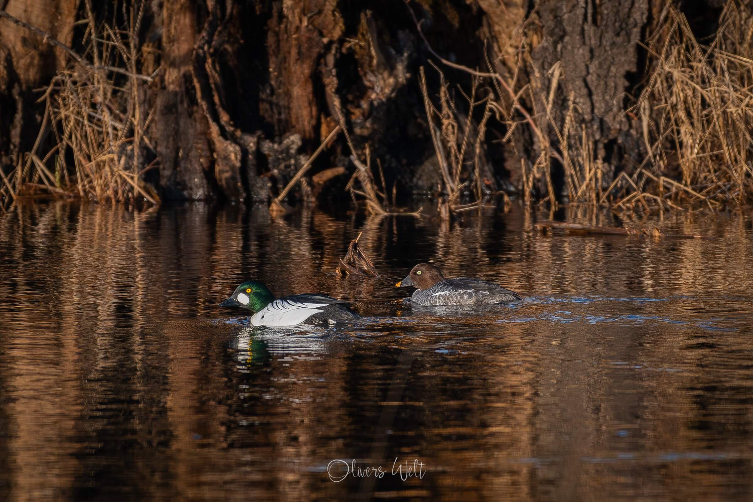 Bild ohne Beschreibung