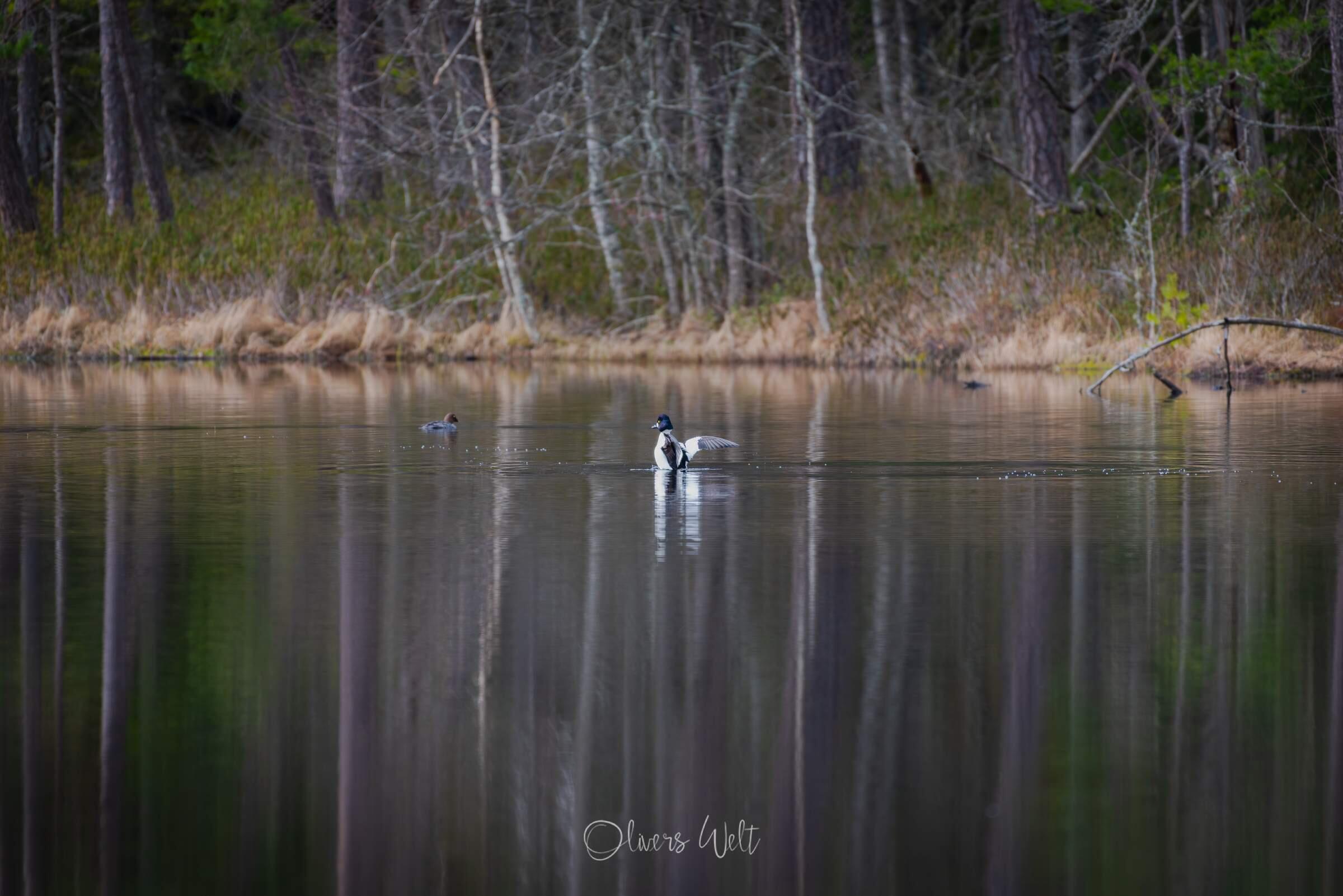 Bild ohne Beschreibung