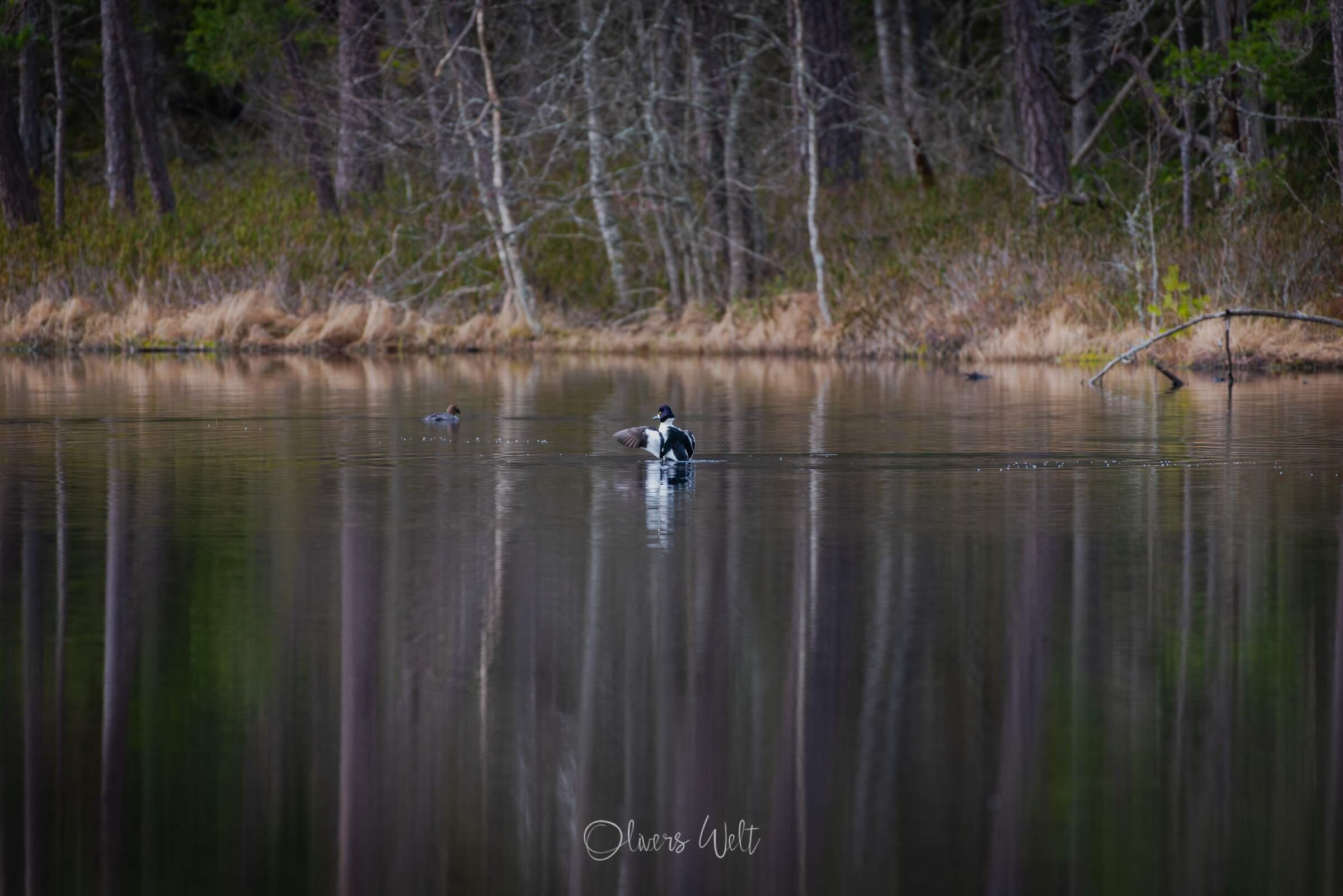 Bild ohne Beschreibung