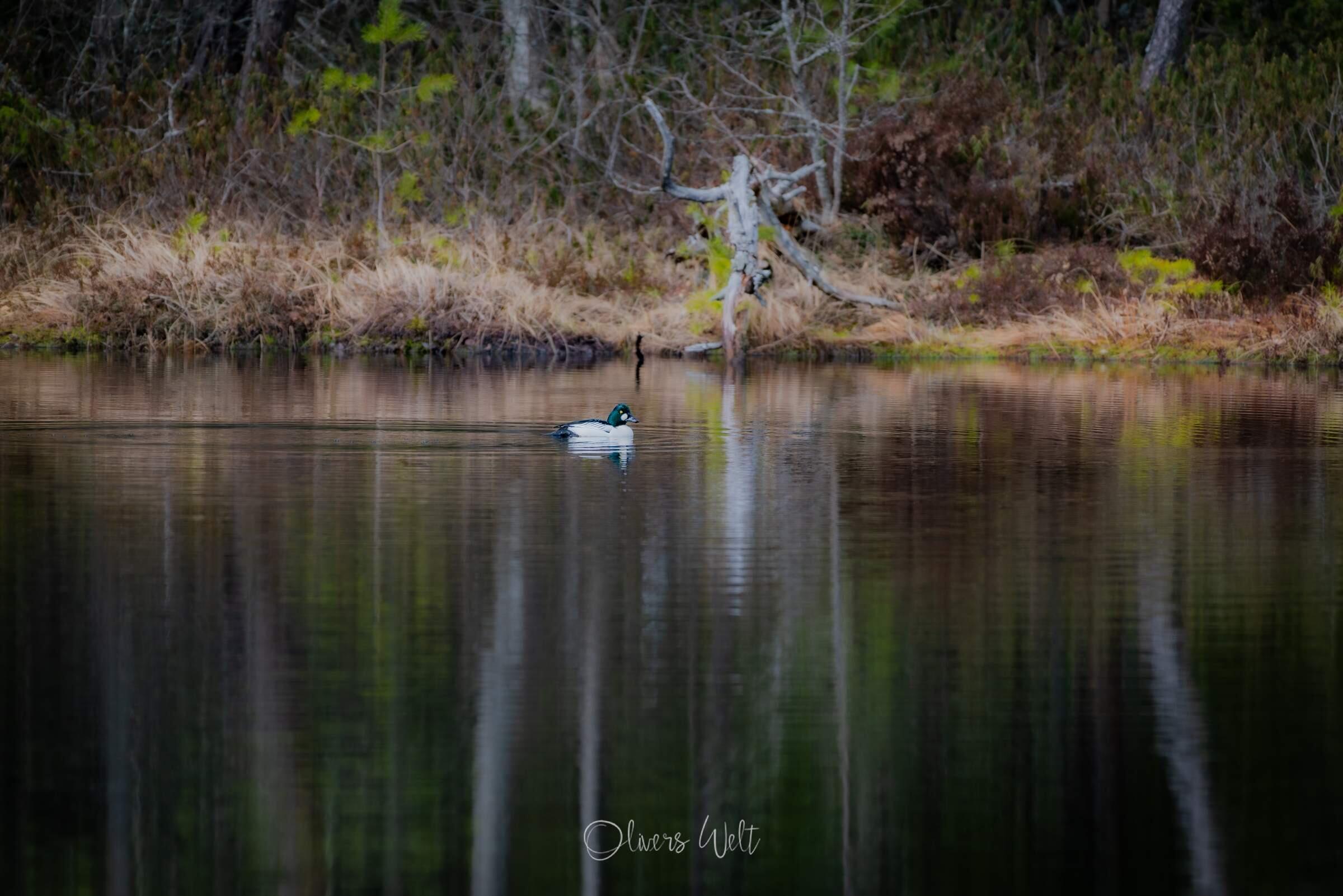 Bild ohne Beschreibung