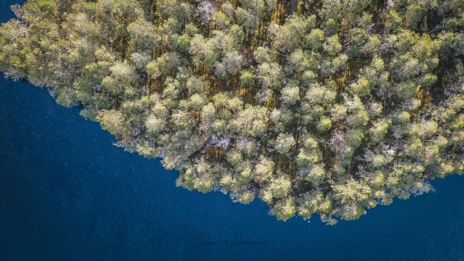 Bild ohne Beschreibung