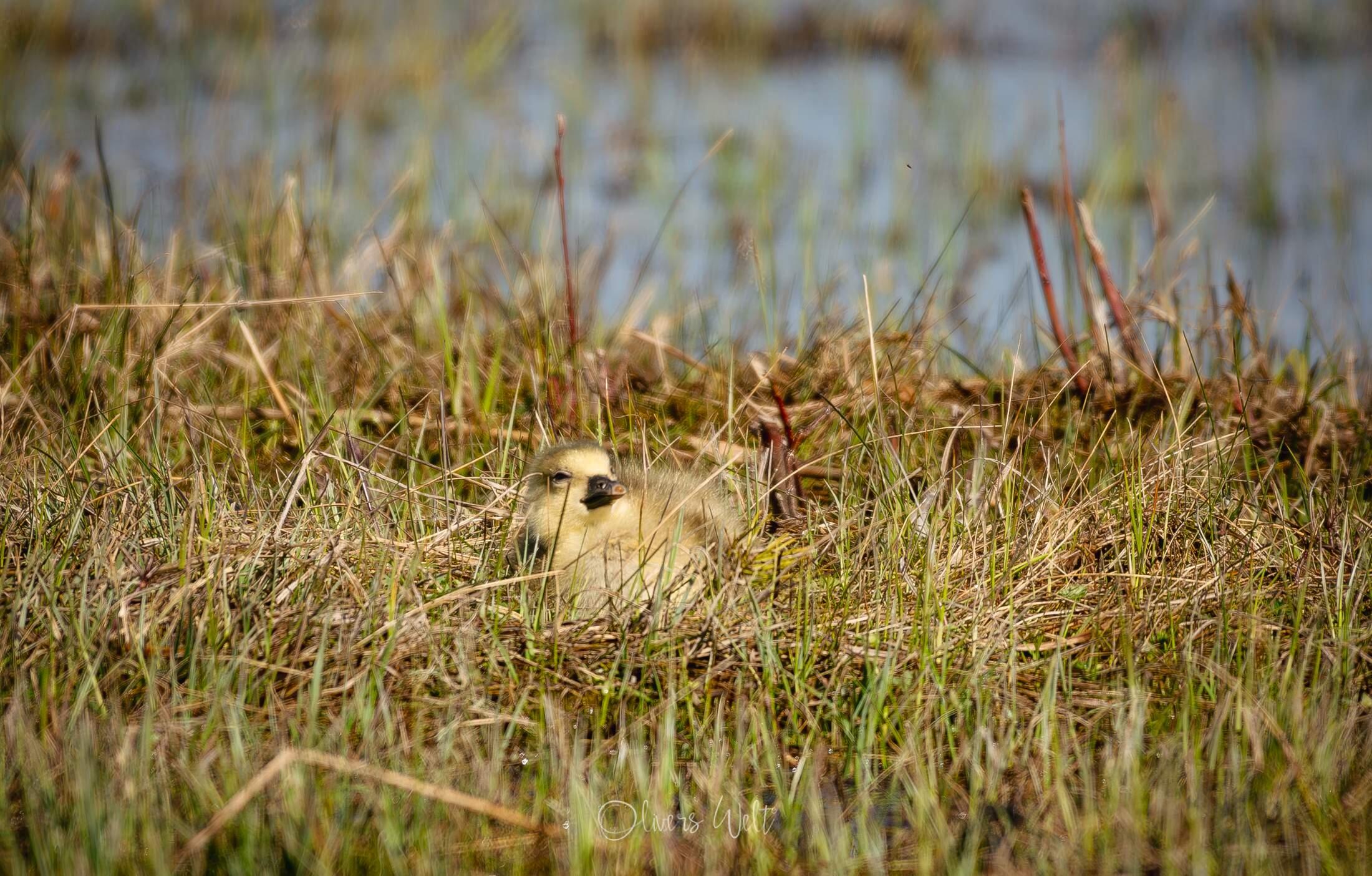 Bild ohne Beschreibung Bild ohne Beschreibung