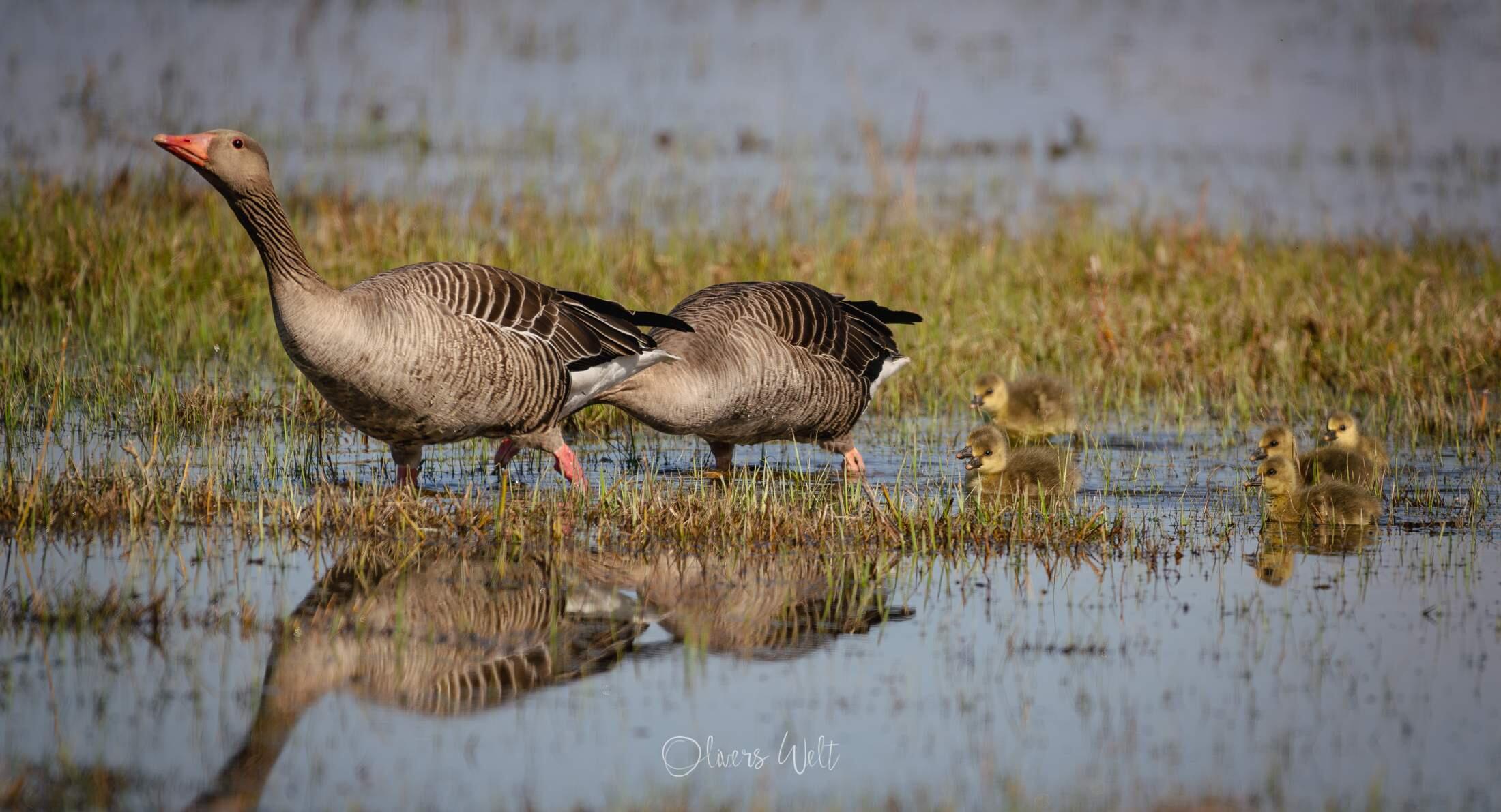 Bild ohne Beschreibung Bild ohne Beschreibung