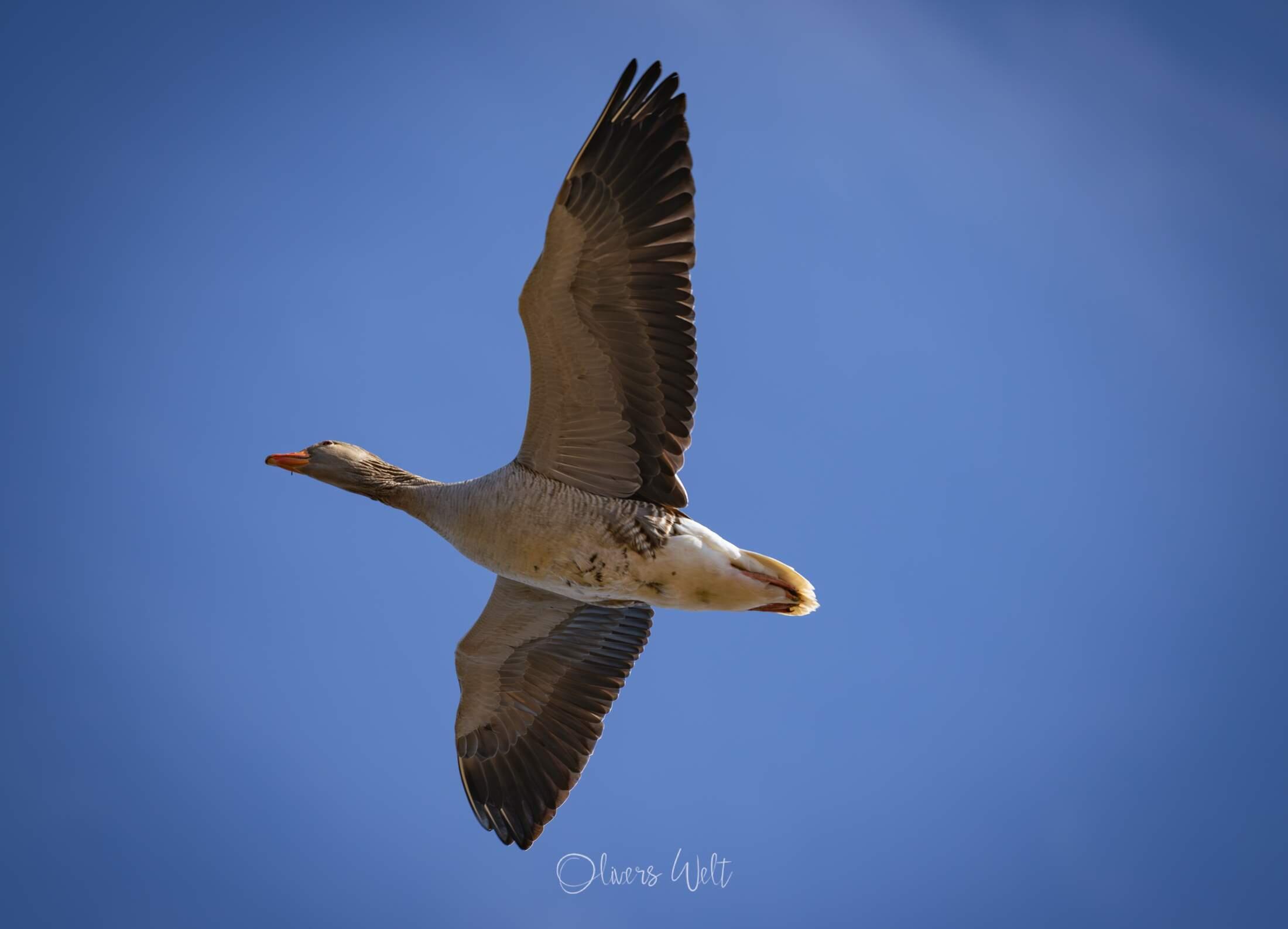 Bild ohne Beschreibung Bild ohne Beschreibung