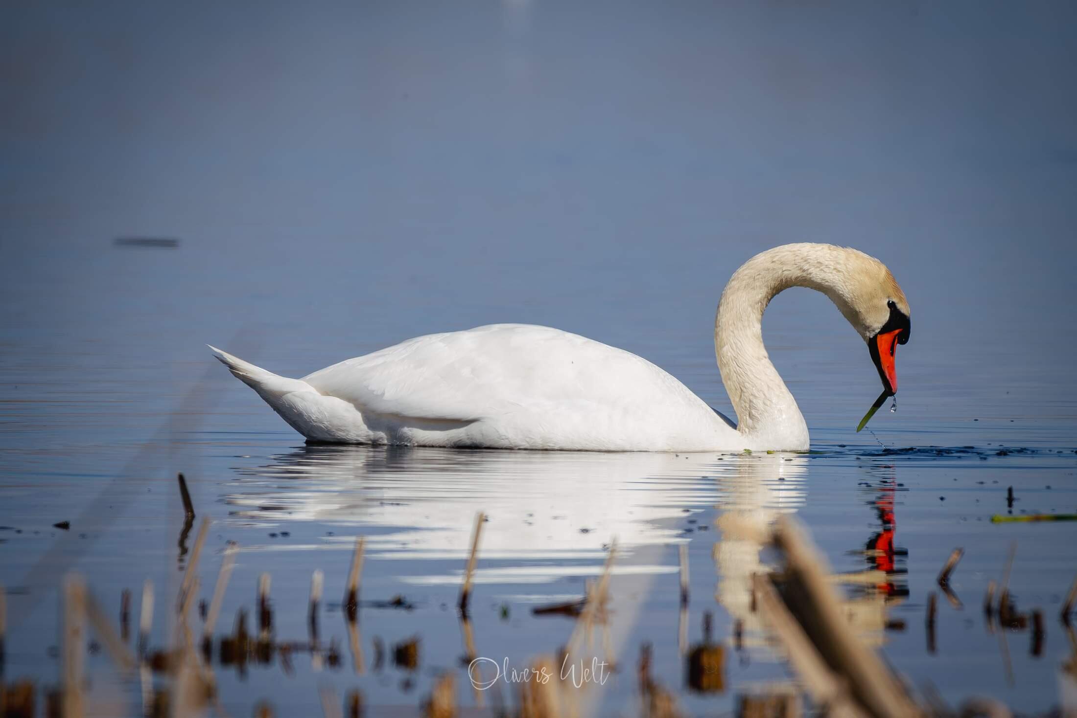 Bild ohne Beschreibung Bild ohne Beschreibung