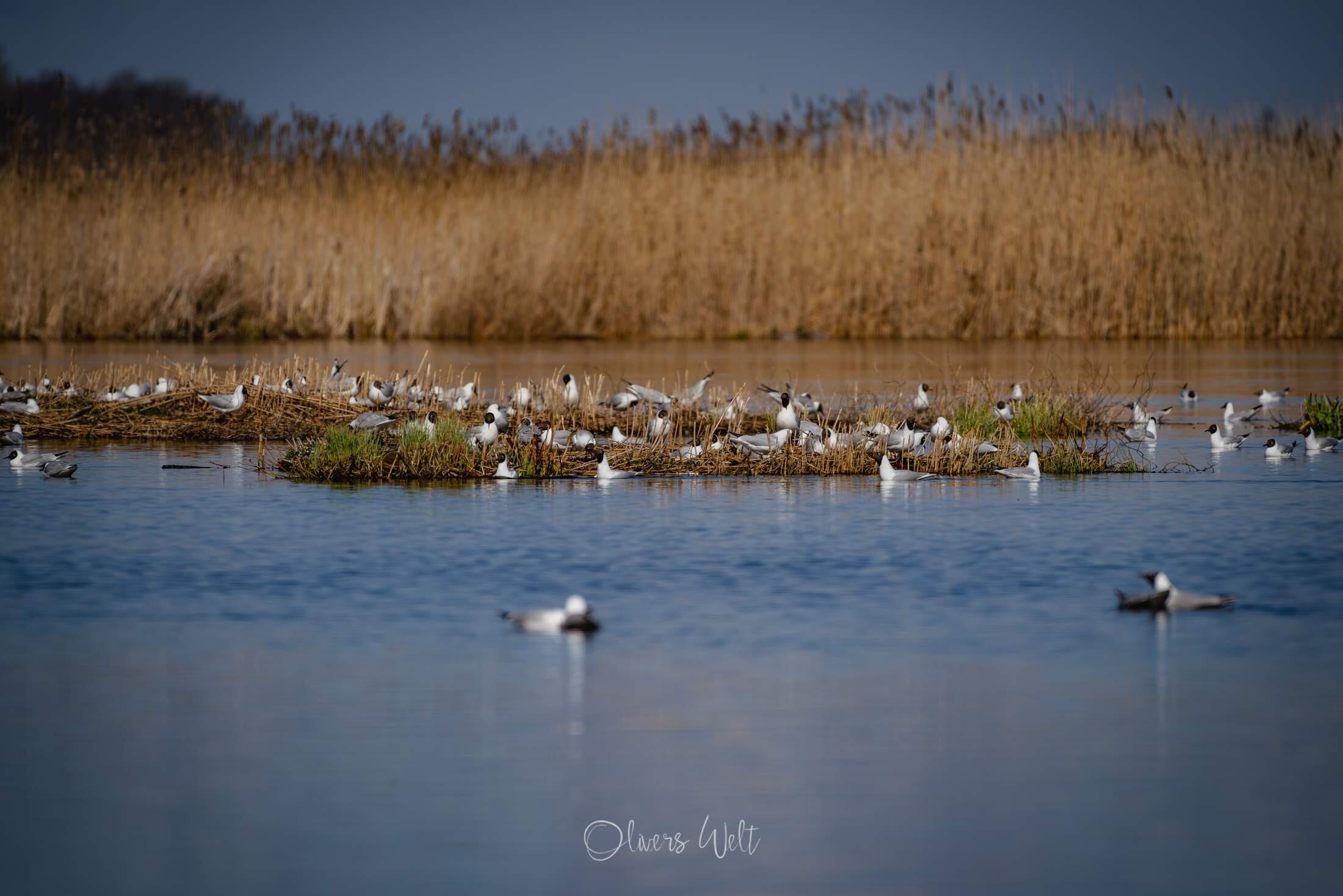 Bild ohne Beschreibung Bild ohne Beschreibung