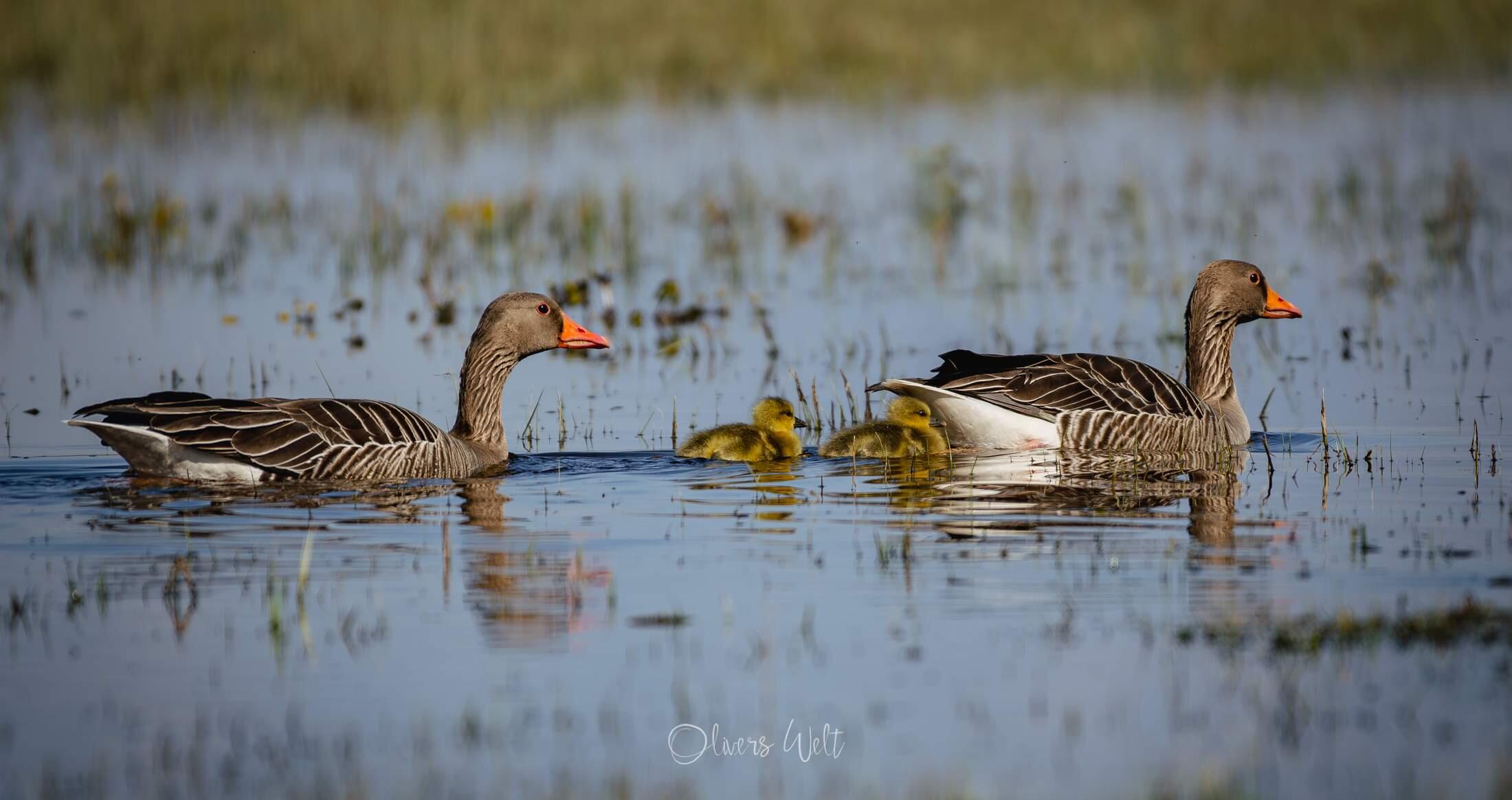 Bild ohne Beschreibung Bild ohne Beschreibung