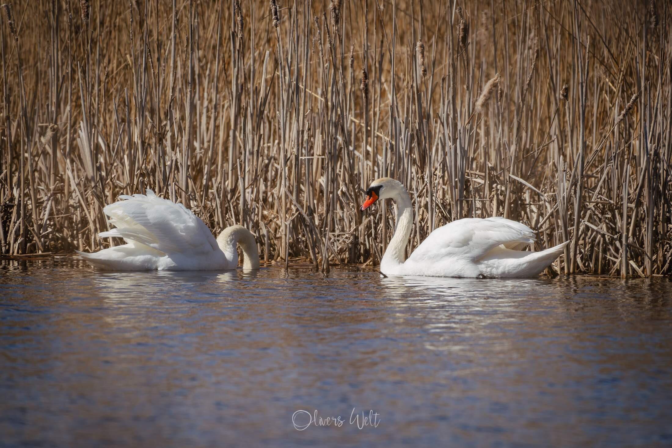 Bild ohne Beschreibung Bild ohne Beschreibung