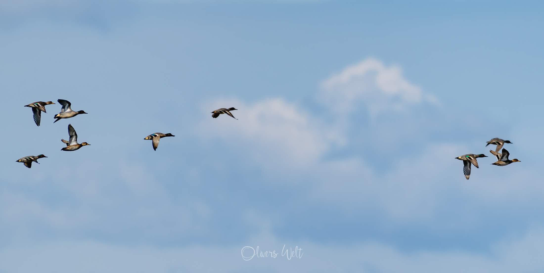 Bild ohne Beschreibung Bild ohne Beschreibung