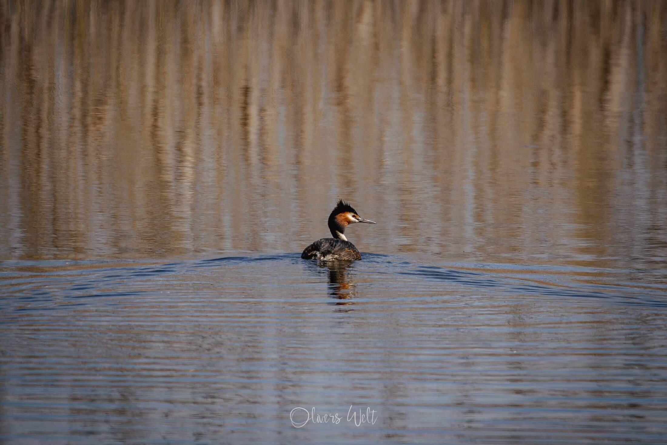 Bild ohne Beschreibung Bild ohne Beschreibung