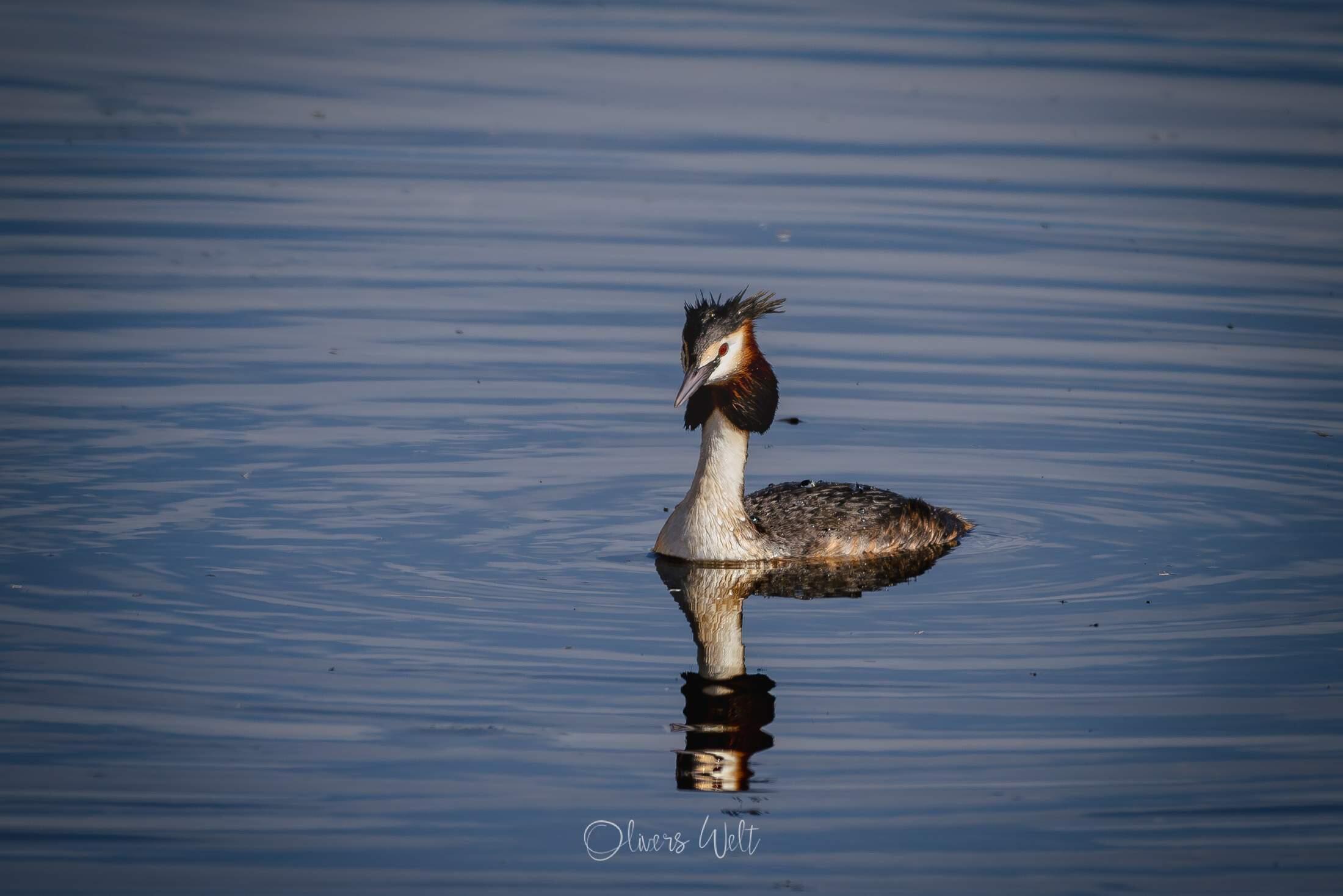 Bild ohne Beschreibung Bild ohne Beschreibung