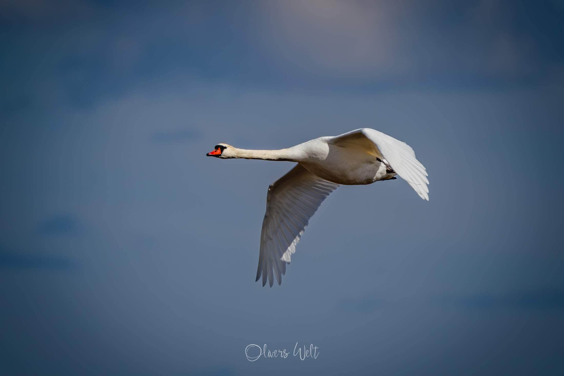 Bild ohne Beschreibung Bild ohne Beschreibung