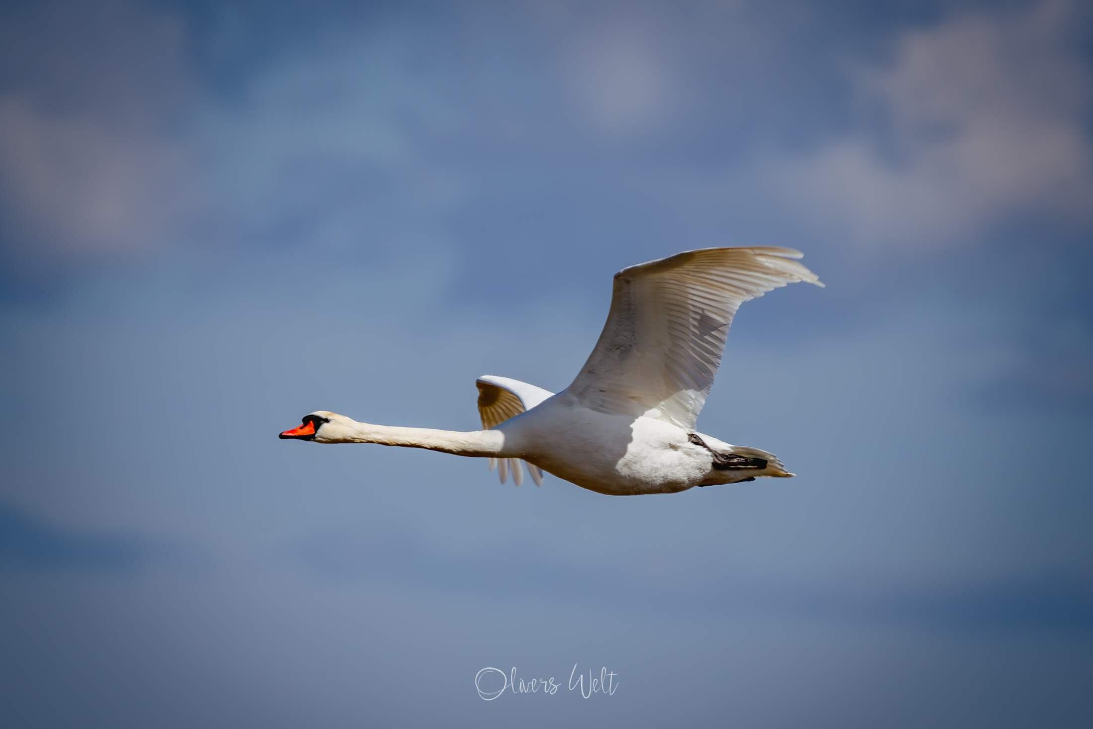 Bild ohne Beschreibung Bild ohne Beschreibung