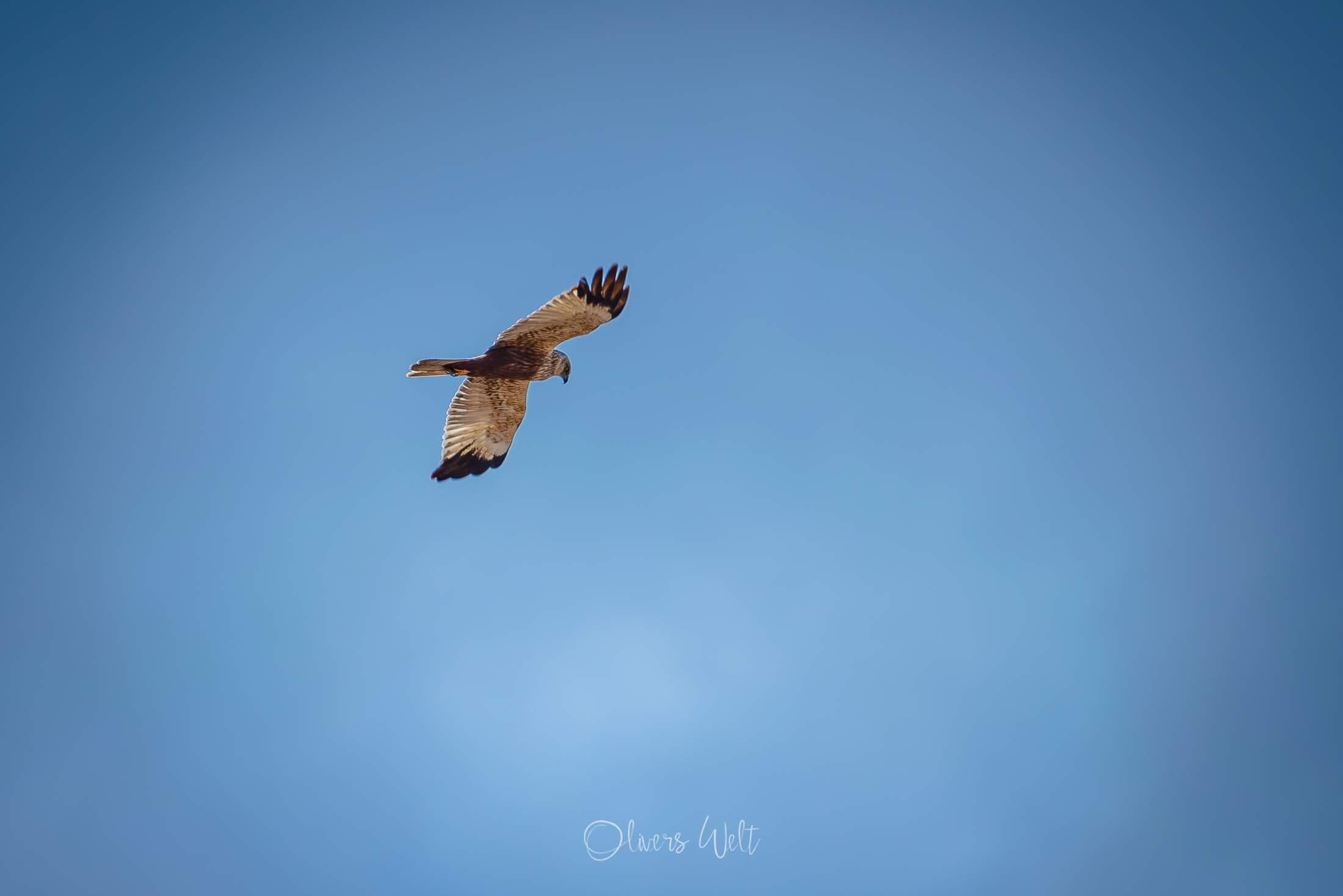 Bild ohne Beschreibung Bild ohne Beschreibung