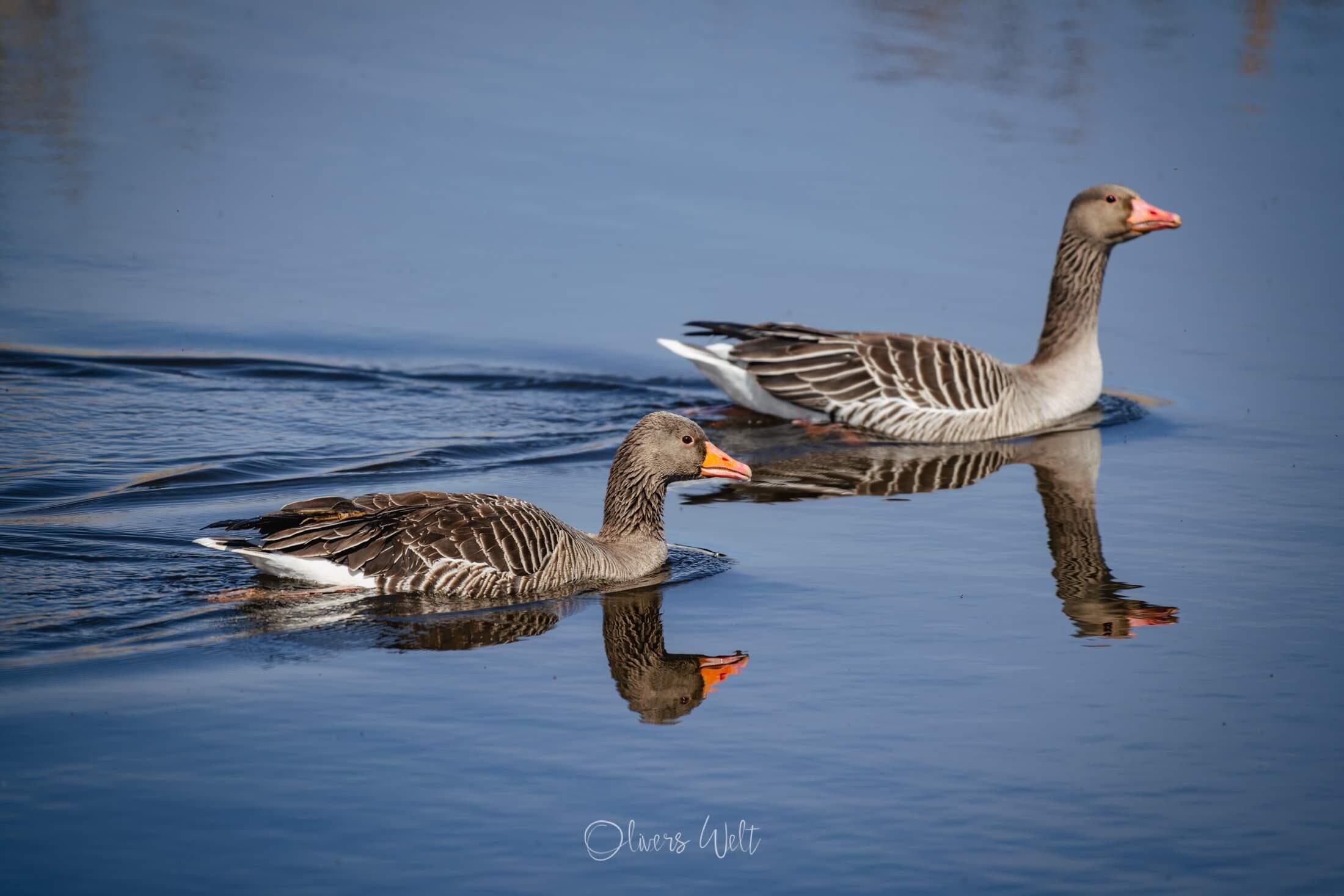 Bild ohne Beschreibung Bild ohne Beschreibung