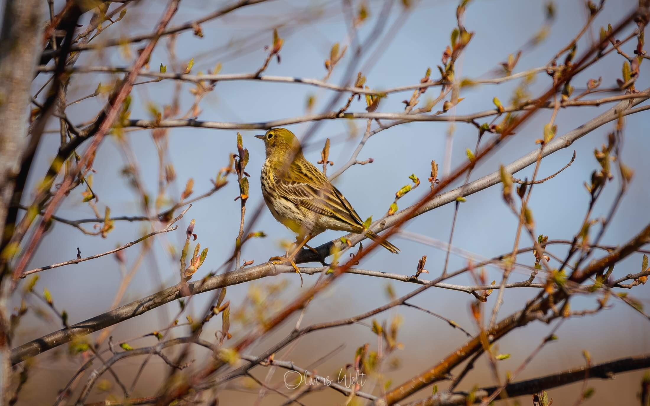Bild ohne Beschreibung Bild ohne Beschreibung