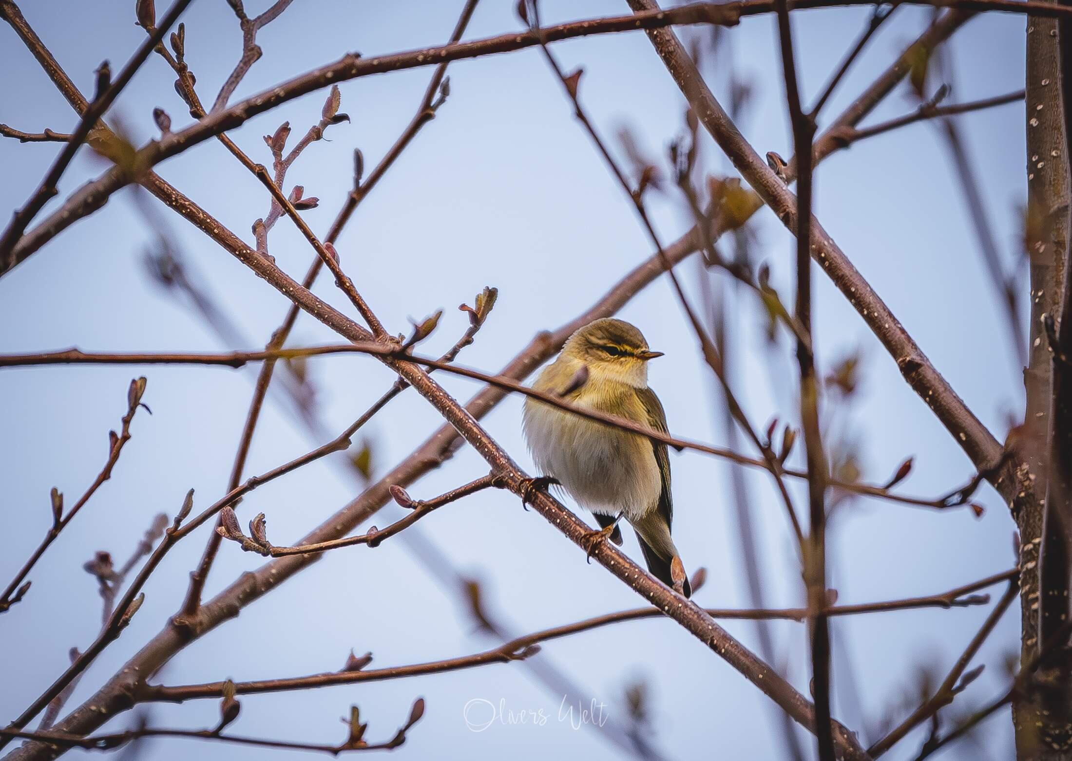 Bild ohne Beschreibung Bild ohne Beschreibung