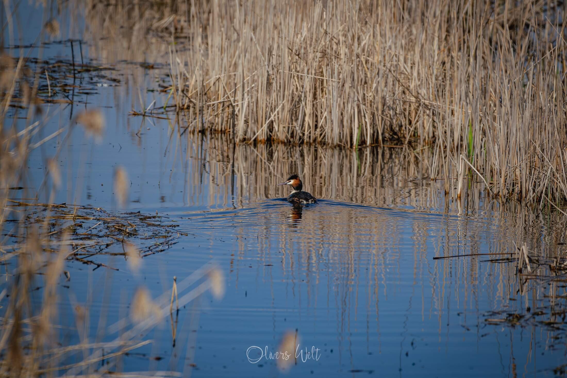 Bild ohne Beschreibung Bild ohne Beschreibung