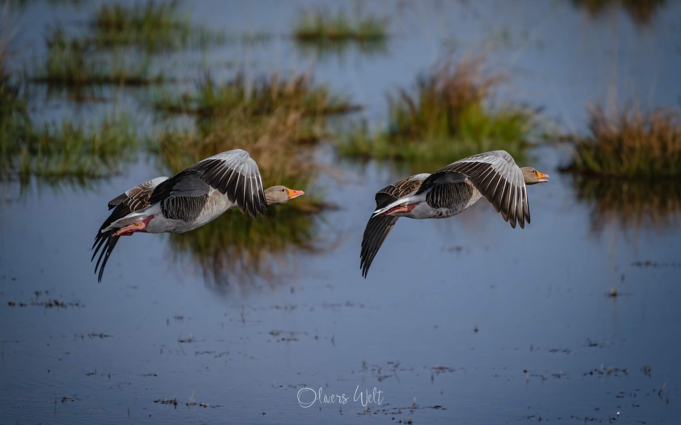 Bild ohne Beschreibung Bild ohne Beschreibung