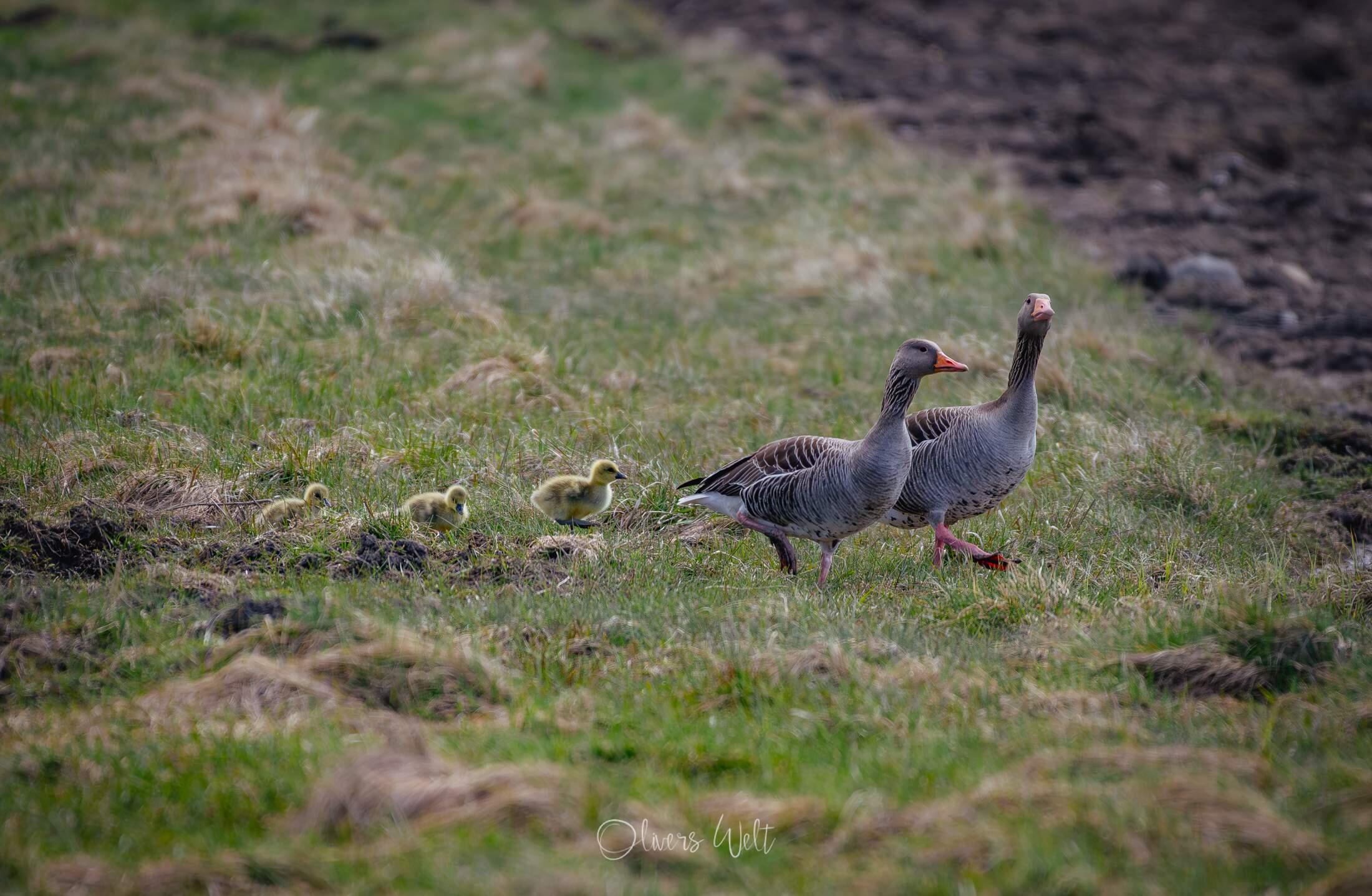 Bild ohne Beschreibung Bild ohne Beschreibung