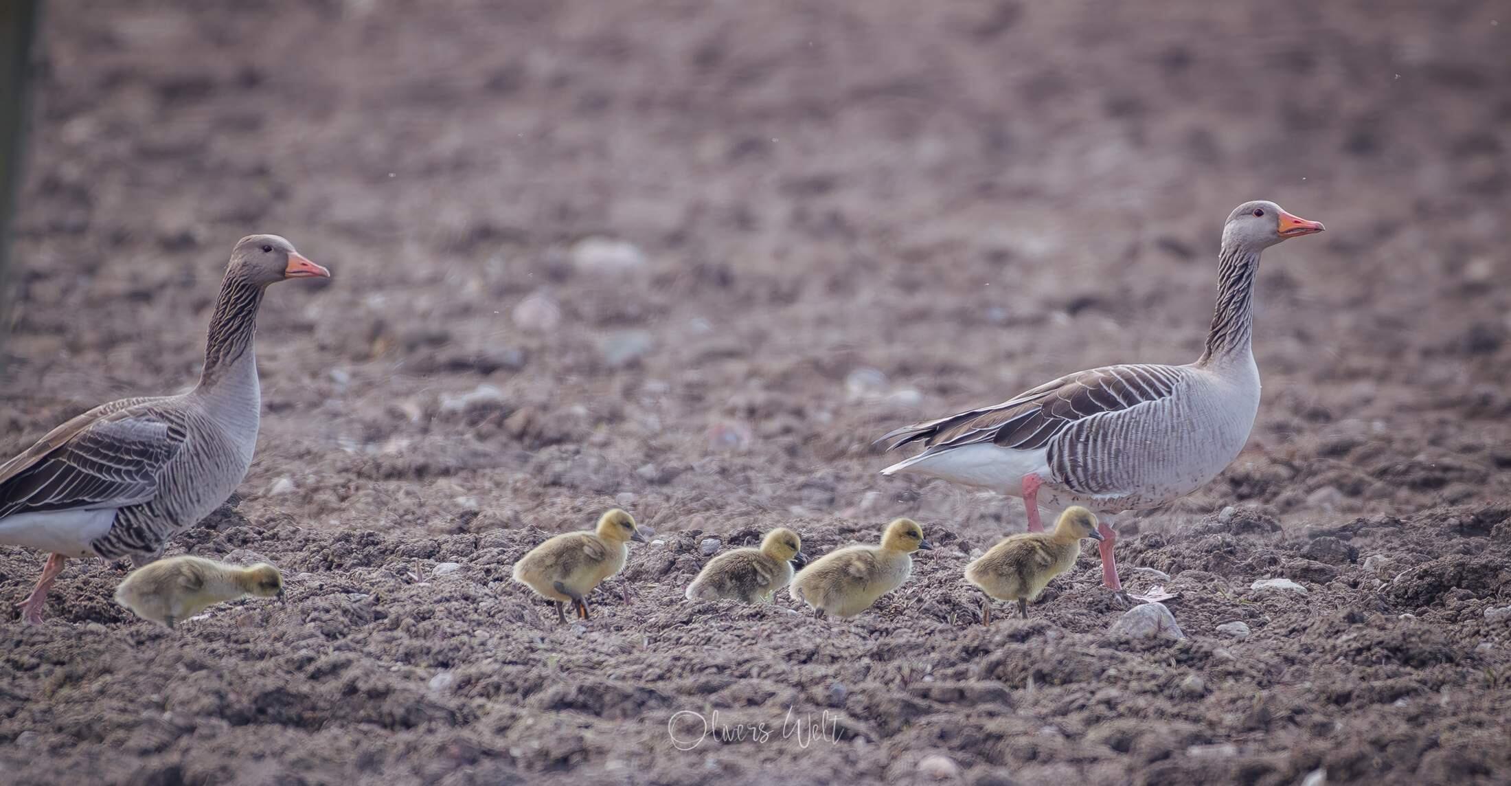 Bild ohne Beschreibung Bild ohne Beschreibung