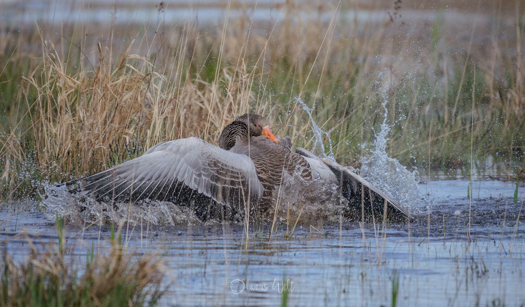 Bild ohne Beschreibung Bild ohne Beschreibung