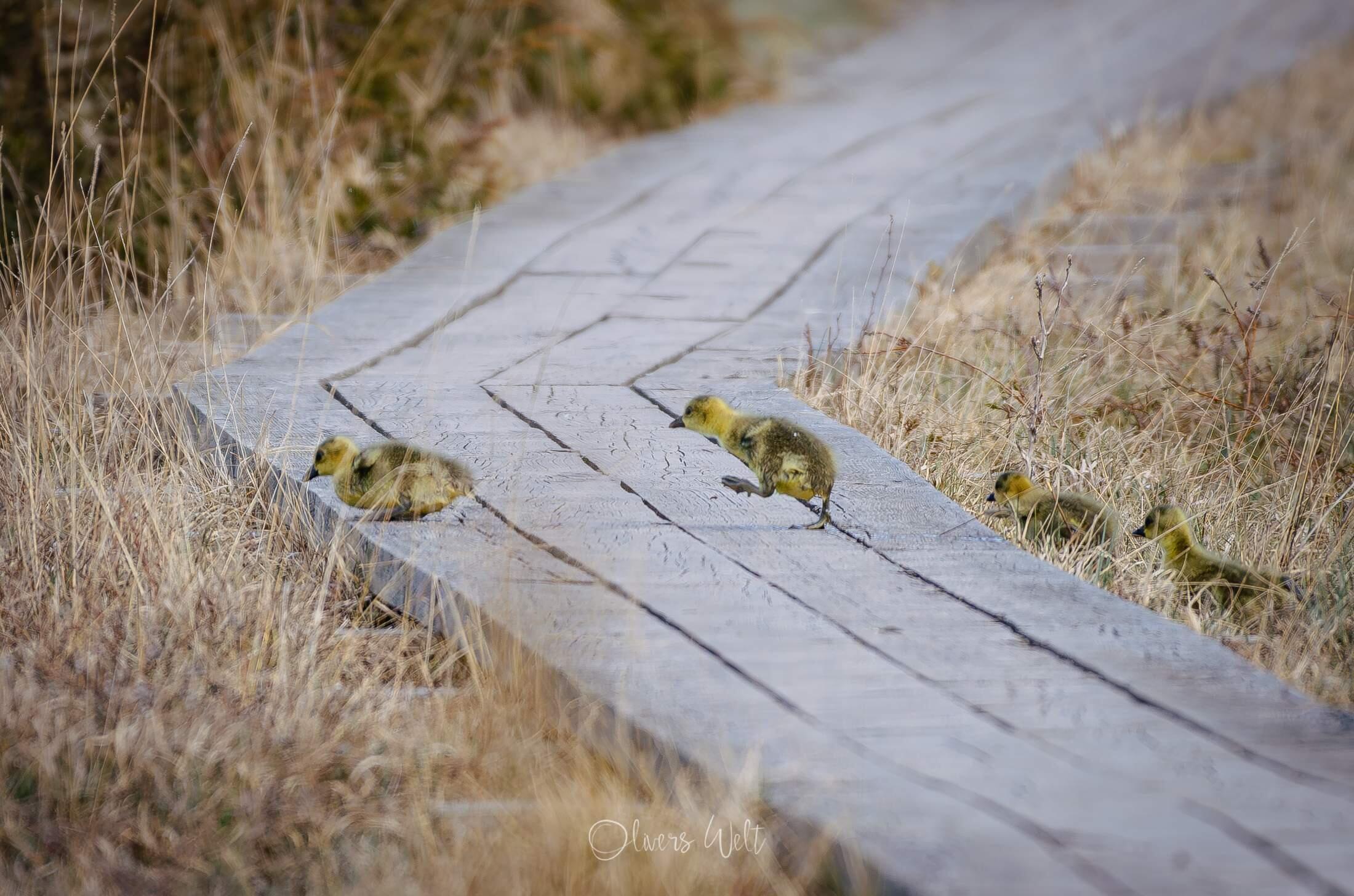 Bild ohne Beschreibung Bild ohne Beschreibung