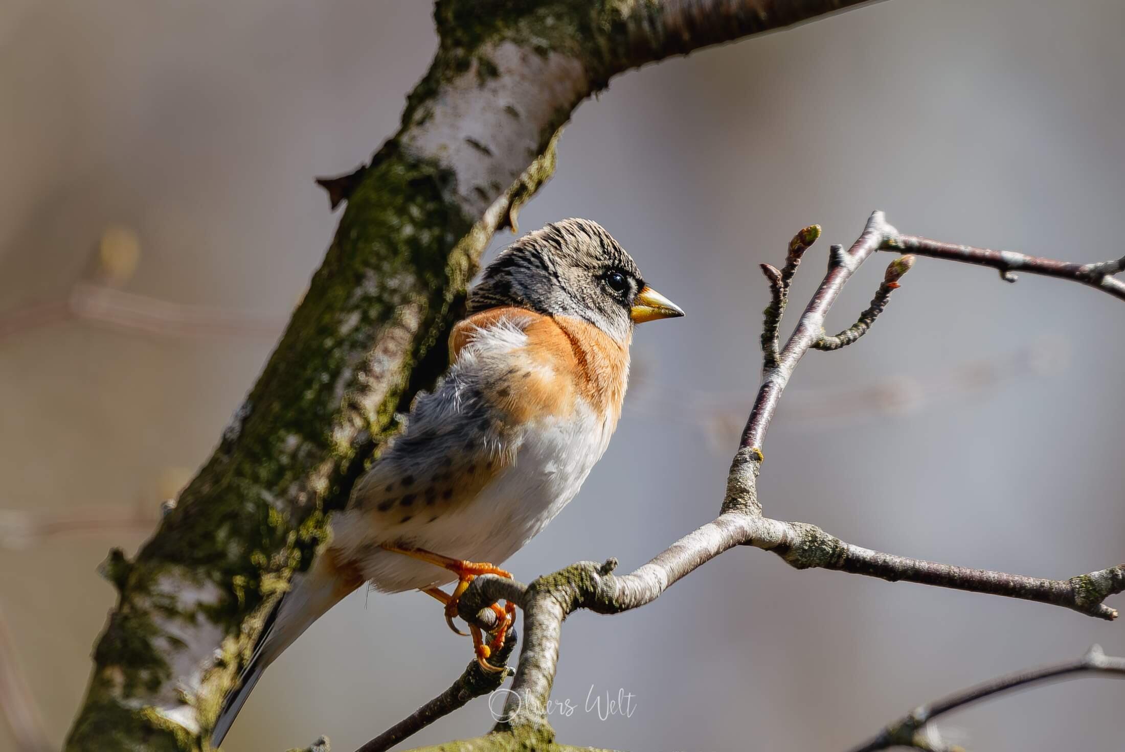 Bild ohne Beschreibung Bild ohne Beschreibung