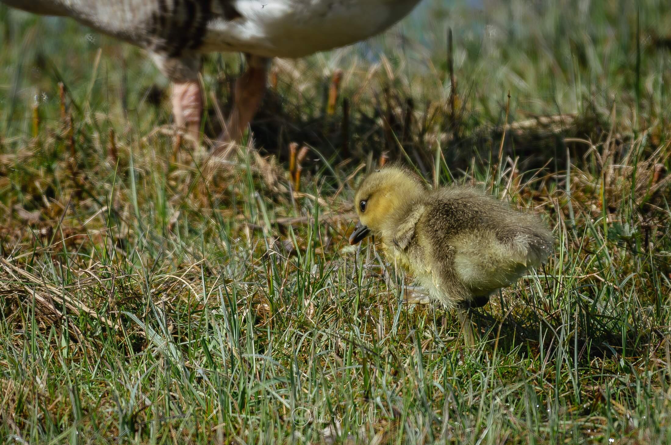 Bild ohne Beschreibung Bild ohne Beschreibung