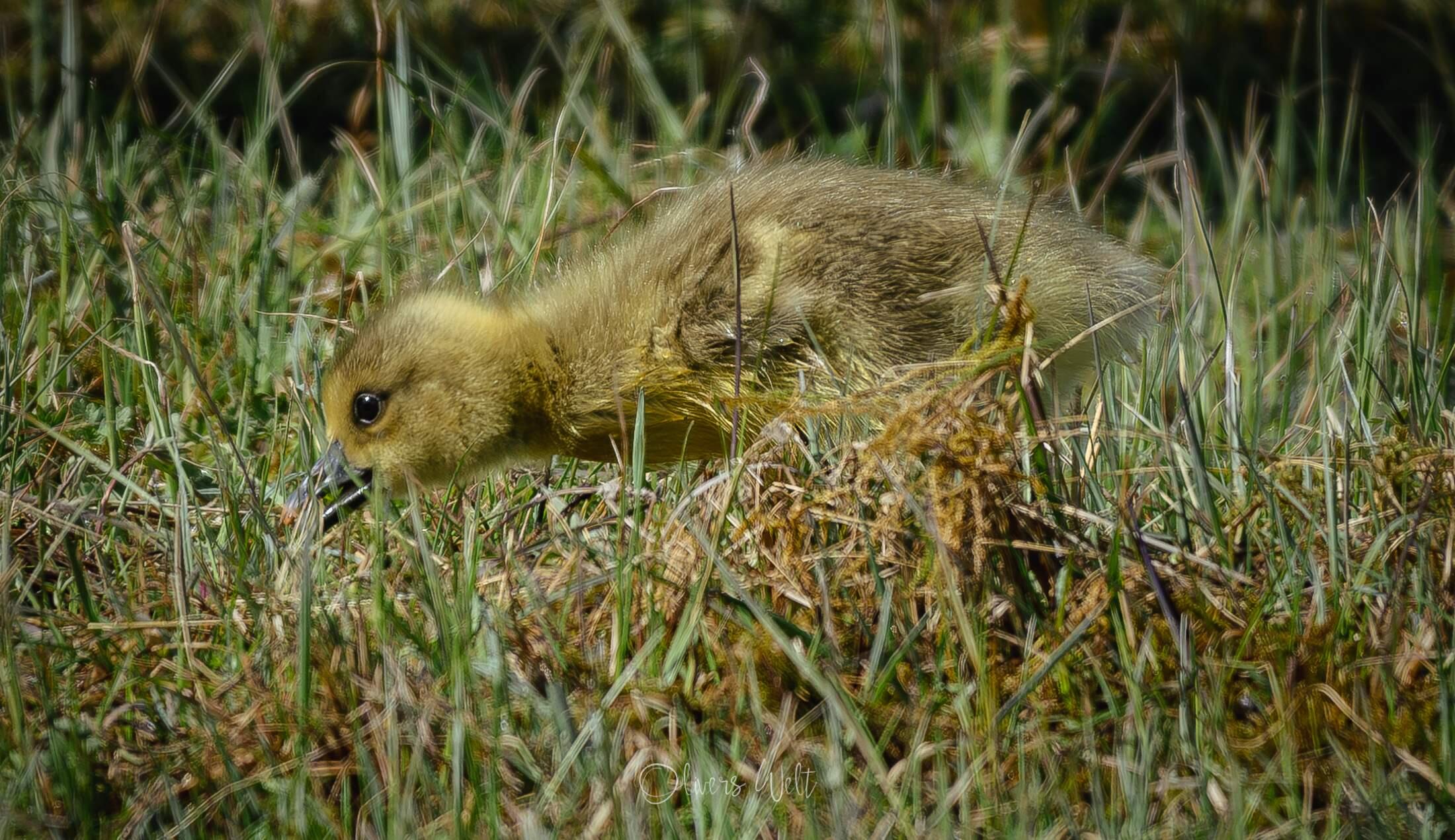 Bild ohne Beschreibung Bild ohne Beschreibung