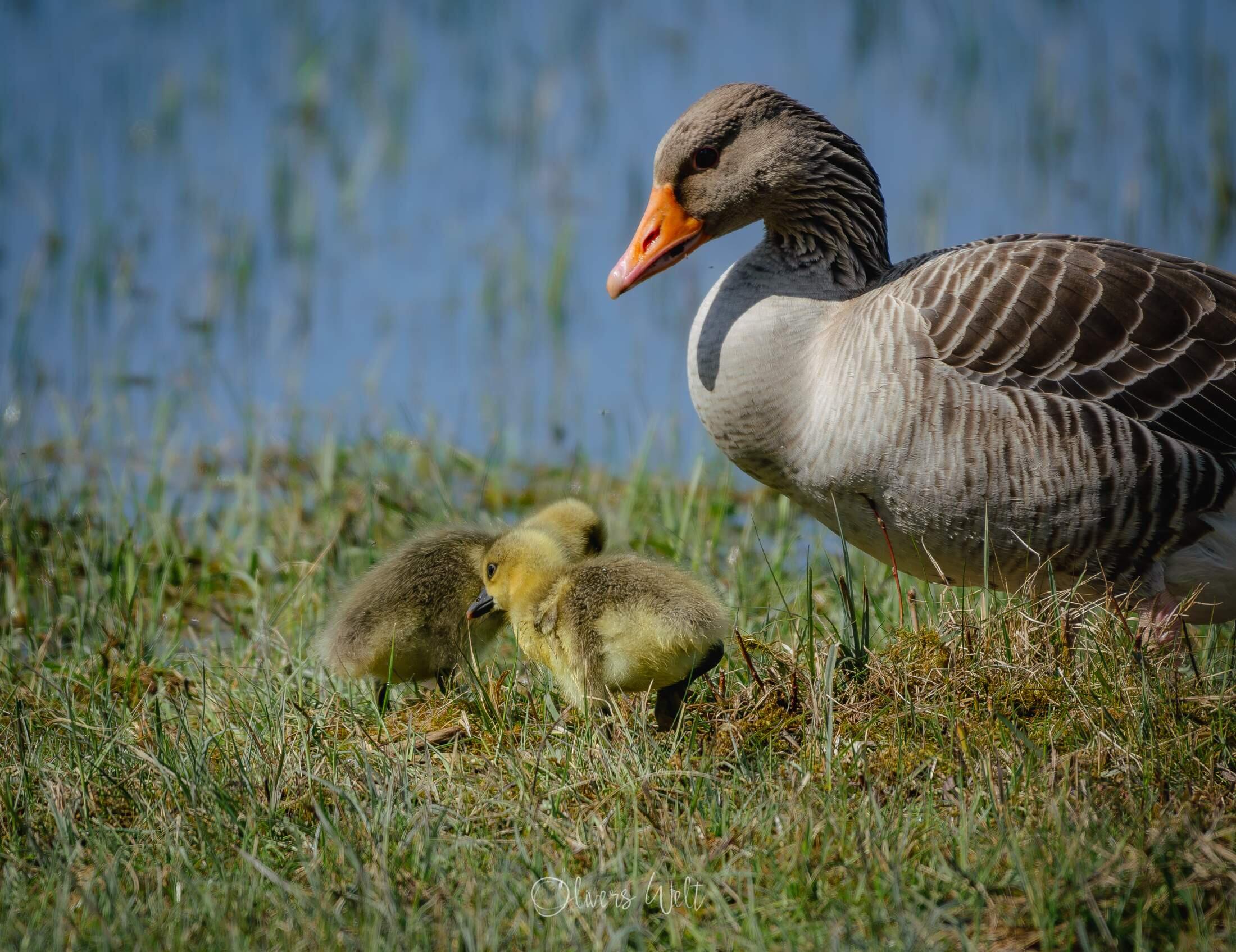 Bild ohne Beschreibung Bild ohne Beschreibung