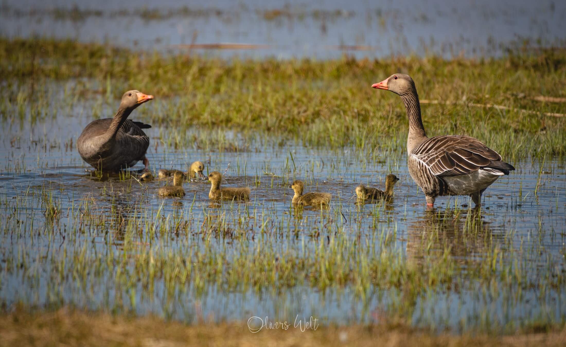 Bild ohne Beschreibung Bild ohne Beschreibung