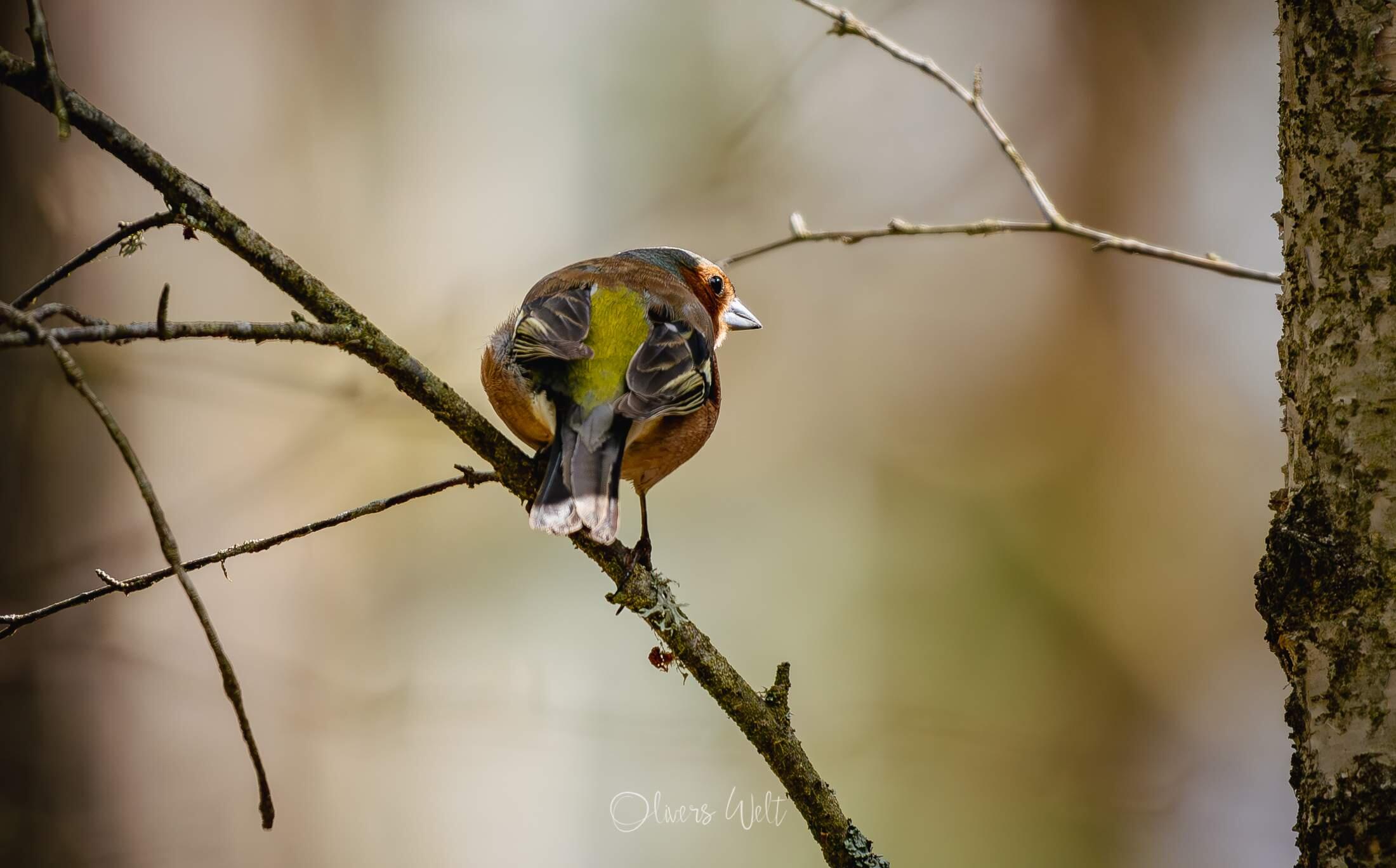 Bild ohne Beschreibung Bild ohne Beschreibung