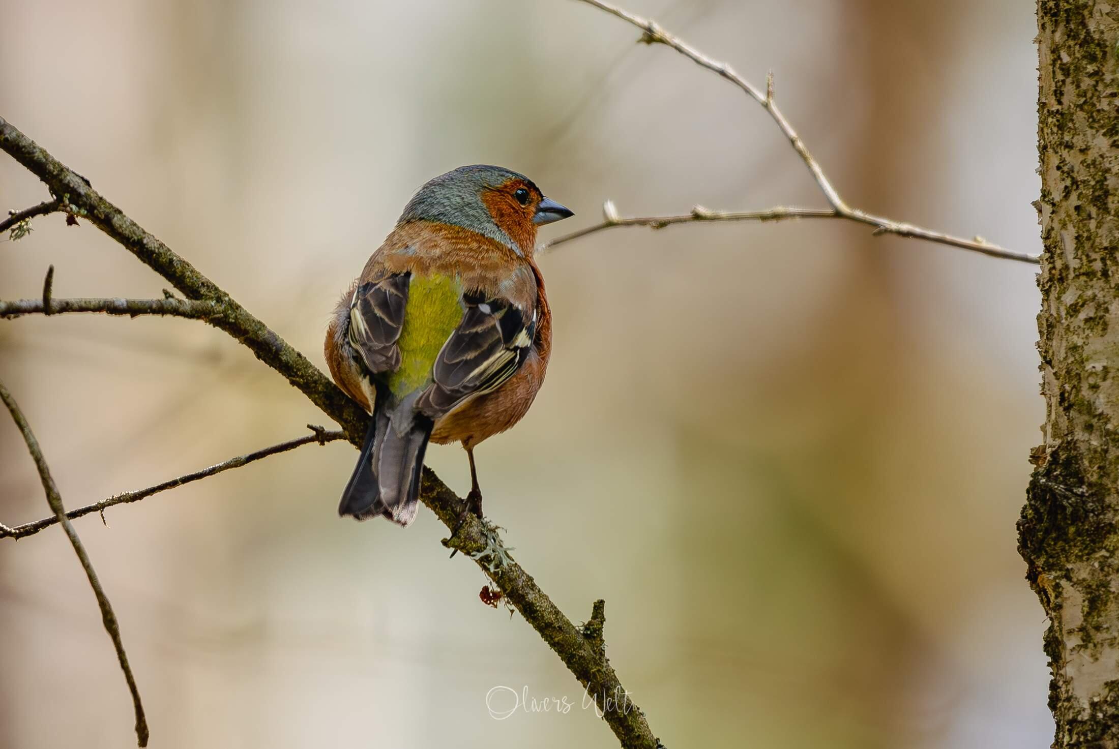 Bild ohne Beschreibung Bild ohne Beschreibung
