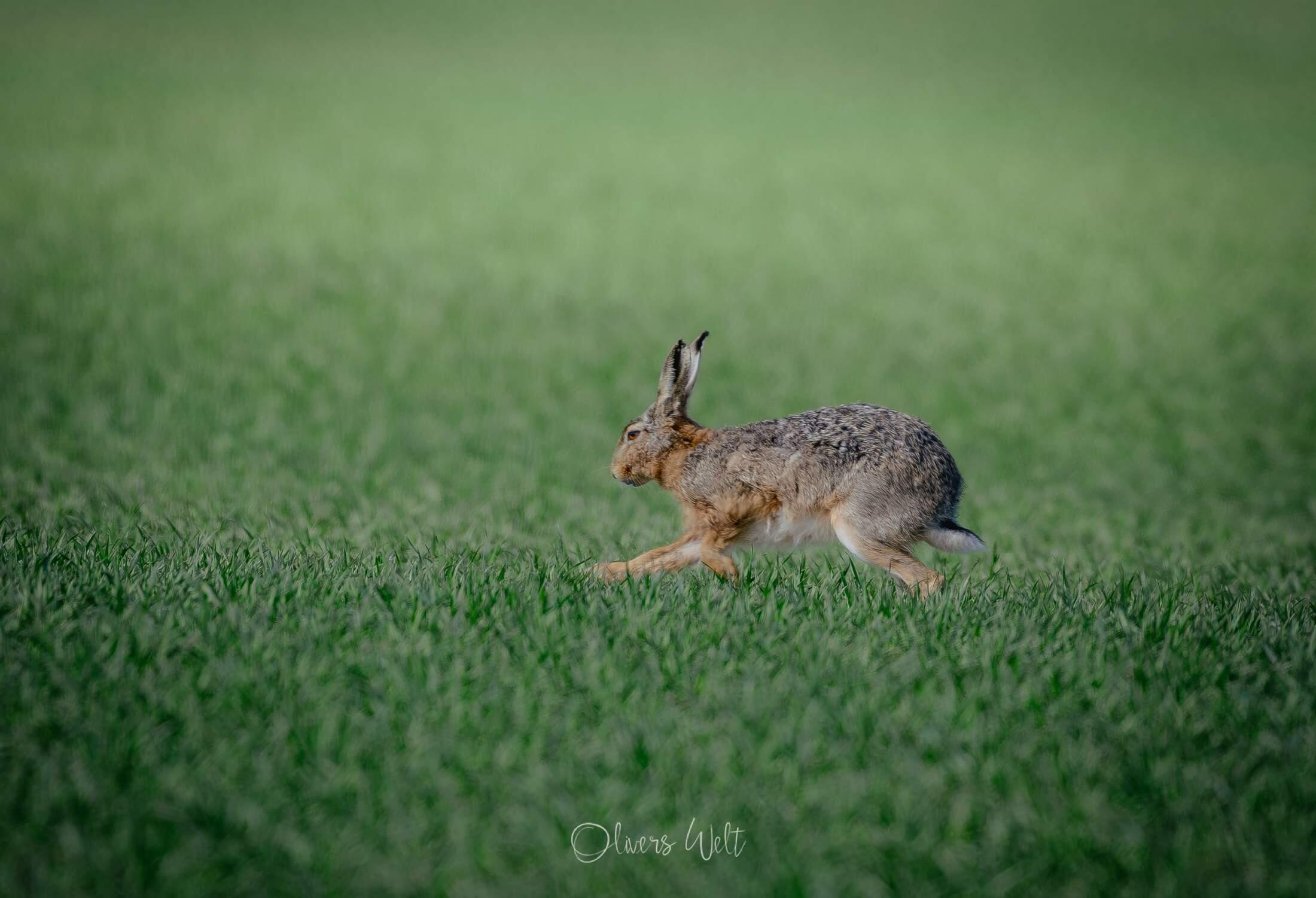Bild ohne Beschreibung Bild ohne Beschreibung