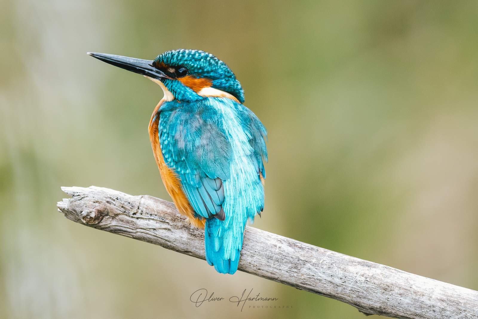 Bild ohne Beschreibung Bild ohne Beschreibung